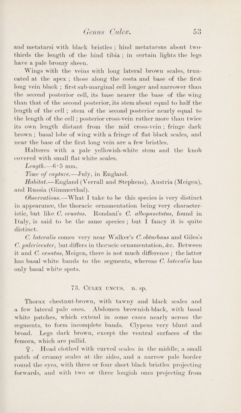 and metatarsi with black bristles ; hind metatarsus about two- thirds the length of the hind tibia ; in certain lights the legs have a pale bronzy sheen. Wings with the veins with long lateral brown scales, trun¬ cated at the apex ; those along the costa and base of the first long vein black ; first sub-marginal cell longer and narrower than the second posterior cell, its base nearer the base of the wing than that of the second posterior, its stem about equal to half the length of the cell j stem of the second posterior nearly equal to the length of the cell; posterior cross-vein rather more than twice its own length distant from the mid cross-vein; fringe dark brown; basal lobe of wing with a fringe of flat black scales, and near the base of the first long vein are a few bristles. Halteres with a pale yellowish-white stem and the knob covered with small fiat white scales. Length.—-6*5 mm. Time of capture.—July, in England. Habitat.—England (Verrall and Stephens), Austria (Meigen), and Russia (Gimmerthal). Observations.—What I take to be this species is very distinct in appearance, the thoracic ornamentation being very character¬ istic, but like C. ornatus. Rondani’s C. albopunctatus, found in Italy, is said to be the same species ; but I fancy it is quite distinct. C. lateralis comes very near Walker’s C. obturbans and Giles’s C. jmlcriventer, but differs in thoracic ornamentation, &c. Between it and C. ornatus, Meigen, there is not much difference; the latter has basal white bands to the segments, whereas C. lateralis lias only basal white spots. 73. Culex uncus, n. sp. Thorax chestnut-brown, with tawny and black scales and a few lateral pale ones. Abdomen brownish-black, with basal white patches, which extend in some cases nearly across the segments, to form incomplete bands. Clypeus very blunt and broad. Legs dark brown, except the ventral surfaces of the femora, wrhich are pallid. 9 . Head clothed with curved scales in the middle, a small patch of creamy scales at the sides, and a narrow pale border round the eyes, with three or four short black bristles projecting forwards, and with two or three longish ones projecting from
