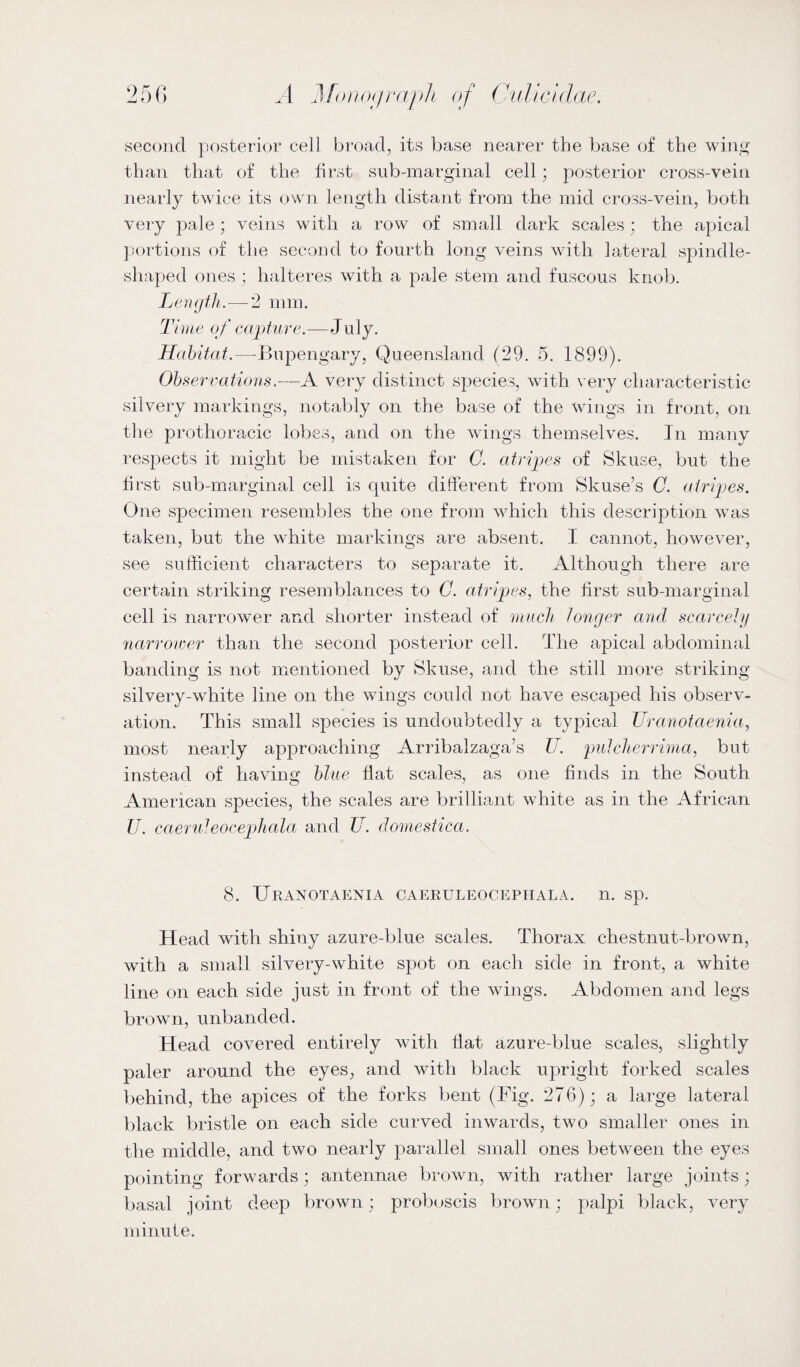 second posterior cell broad, its base nearer the base of the wing than that of the first sub-marginal cell; posterior cross-vein nearly twice its own length distant from the mid cross-vein, both very pale ; veins with a row of small dark scales; the apical portions of the second to fourth long veins with lateral spindle- shaped ones ; halteres with a pale stem and fuscous knob. Length. — 2 mm. Time of capture.—J uly. Habitat.—Bupengary, Queensland (29. 5. 1899). Observations.—A very distinct species, with very characteristic silvery markings, notably on the base of the wings in front, on the prothoracic lobes, and on the wings themselves. In many respects it might be mistaken for C. atripes of Skuse, but the first sub-marginal ceil is quite different from Skuse’s C. atripes. One specimen resembles the one from which this description was taken, but the white markings are absent. I cannot, however, see sufficient characters to separate it. Although there are certain striking resemblances to C. atripes, the first sub-marginal cell is narrower and shorter instead of much longer and scarcely narrower than the second posterior cell. The apical abdominal banding is not mentioned by Skuse, and the still more striking silvery-white line on the wings could not have escaped his observ¬ ation. This small species is undoubtedly a typical Uranotaenia, most nearly approaching Arribalzaga’s U. pulcherrima, but instead of having blue flat scales, as one finds in the South American species, the scales are brilliant white as in the African U. caeruleocephala and U. domestica. 8. Uranotaenia caeruleocepiiala. n. sp. Head with shiny azure-blue scales. Thorax chestnut-brown, with a small silvery-white spot on each side in front, a white line on each side just in front of the wings. Abdomen and legs brown, unbanded. Head covered entirely with flat azure-blue scales, slightly paler around the eyes, and with black upright forked scales behind, the apices of the forks bent (Tig. 276); a large lateral black bristle on each side curved inwards, two smaller ones in the middle, and two nearly parallel small ones between the eyes pointing forwards; antennae brown, with rather large joints; basal joint deep brown; proboscis brown; palpi black, very minute.