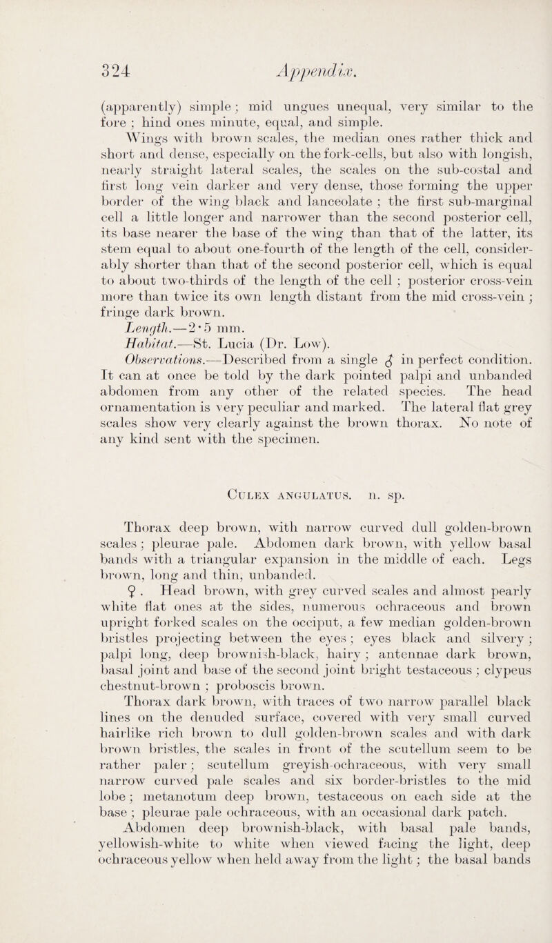 (apparently) simple; mid ungues unequal, very similar to the fore ; hind ones minute, equal, and simple. Wings with brown scales, the median ones rather thick and short and dense, especially on the fork-cells, but also with longish, nearly straight lateral scales, the scales on the sub-costal and first long vein darker and very dense, those forming the upper border of the wing black and lanceolate ; the first sub-marginal cell a little longer and narrower than the second posterior cell, its base nearer the base of the wing than that of the latter, its stem equal to about one-fourth of the length of the cell, consider¬ ably shorter than that of the second posterior cell, wThich is equal to about two-thirds of the length of the cell ; posterior cross-vein more than twice its own length distant from the mid cross-vein ; fringe dark brown. Length.—2*5 mm. Habitat.—St. Lucia (Dr. Low). Observations.-—Described from a single in perfect condition. It can at once be told by the dark pointed palpi and unbanded abdomen from any other of the related species. The head ornamentation is very peculiar and marked. The lateral flat grey scales show very clearly against the brown thorax. No note of any kind sent with the specimen. CULEX ANGULATUS. 11. Sp. Thorax deep brown, with narrow curved dull golden-brown scales ; pleurae pale. Abdomen dark brown, with yellow basal bands with a triangular expansion in the middle of each. Legs brown, long and thin, unbanded. 9 . Head brown, with grey curved scales and almost pearly white flat ones at the sides, numerous ochraceous and brown upright forked scales on the occiput, a few median golden-brown bristles projecting between the eyes; eyes black and silvery; palpi long, deep brownish-black, hairy ; antennae dark brown, basal joint and base of the second joint bright testaceous ; clypeus chestnut-brown ; proboscis brown. Th< >rax dark brown, with traces of two narrow parallel black lines on the denuded surface, covered with very small curved hairlike rich brown to dull golden-brown scales and with dark brown bristles, the scales in front of the scutellum seem to be rather paler; scutellum greyish-ochraceous, with very small narrow curved pale scales and six border-bristles to the mid lobe; metanotum deep brown, testaceous on each side at the base ; pleurae pale ochraceous, with an occasional dark patch. Abdomen deep brownish-black, with basal pale bands, yellowish-white to white when viewed facing the light, deep ochraceous yellow when held away from the light; the basal bands