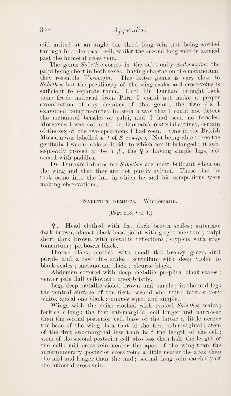 mid united at an angle, the third long vein not being carried through into the basal cell, whilst the second long vein is carried past the humeral cross-vein. The genus Sabeth°s comes in the sub-family Aedeomyina, the palpi being short in both sexes ; having chaetae on the metanotum, they resemble Wyeomyin. This latter genus is very close to Sabethes, but the peculiarity of the wing scales and cross-veins is sufficient to separate them. Until Dr. Durham brought back some fresh material from Para I could not make a proper examination of any member of this genus, the two £ s 1 examined being mounted in such a way that I could not detect the metanotal bristles or palpi, and I had seen no females. Moreover, I was not, until Dr. Durham’s material arrived, certain of the sex of the two specimens I had seen. One in the British Museum wras labelled a 9 °f S. remipes. Not being able to see the genitalia I was unable to decide to which sex it belonged ; it sub¬ sequently proved to be a £ , the 9 s having simple legs, not armed with paddles. Dr. Durham informs me Sabetlies are most brilliant when on the wing and that they are not purely sylvan. Those that he took came into the hut in which he and his companions were making observations. Sabethes remipes. Wiedemann. (Page 248, Yol. 1.) 9 . Head clothed with flat dark brown scales; antennae dark brown, almost black basal joint with grey tomentum ; palpi short dark brown, with metallic reflections ; clyj:>eus with grey tomentum; proboscis black. Thorax black, clothed with small flat bronzy green, dull purple and a few blue scales; scutellum with deep violet to black scales ; metanotum black ; pleurae black. Abdomen covered with deep metallic purplish black scales ; venter pale dull yellowish ; apex bristly. Legs deep metallic violet, brown and purple; in the mid legs the ventral surface of the first, second and third tarsi, silvery white, apical one black ; ungues equal and simple. Wings with the veins clothed with typical Sabethes scales ; fork-cells long; the first sub-marginal cell longer and narrower than the second posterior cell, base of the latter a little nearer the base of the wing than that of the first sub-marginal; stem of the first sub-marginal less than half the length of the cell ; stem of the second posterior cell also less than half the length of the cell; mid cross-vein nearer the apex of the wing than the supernumerary, posterior cross-veins a little nearer the apex than the mid and longer than the mid; second long vein carried past the humeral cross-vein.