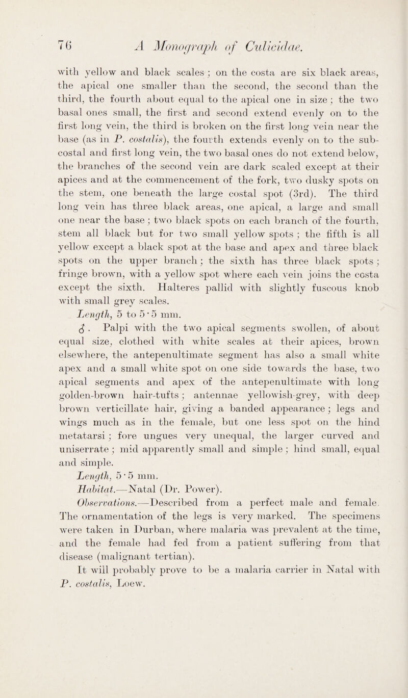 with yellow and black scales ; on the costa are six black areas, the apical one smaller than the second, the second than the third, the fourth about equal to the apical one in size ; the two basal ones small, the first and second extend evenly on to the first long vein, the third is broken on the first long vein near the base (as in P. costalis), the fourth extends evenly on to the sub¬ costal and first long vein, the two basal ones do not extend below, the branches of the second vein are dark scaled except at their apices and at the commencement of the fork, two dusky spots on the stem, one beneath the large costal spot (3rd). The third long vein has three black areas, one apical, a large and small one near the base; two black spots on each branch of the fourth, stem all black but for two small yellow S23ots ; the fifth is all yellow except a black spot at the base and apex and three black spots on the upper branch; the sixth has three black spots ; fringe brown, with a yellow spot where each vein joins the costa except the sixth. Halteres pallid with slightly fuscous knob with small grey scales. Length, 5 to 5 • 5 mm. ^ . Palpi with the two apical segments swollen, of about equal size, clothed with white scales at their apices, brown elsewhere, the antepenultimate segment has also a small white apex and a small white spot on one side towards the base, two apical segments and apex of the antepenultimate with long golden-brown hair-tufts ; antennae yellowish-grey, with deep brown verticillate hair, giving a banded appearance; legs and wings much as in the female, but one less spot on the hind metatarsi; fore ungues very unequal, the larger curved and uniserrate; mid apparently small and simple; hind small, equal and simple. Length, 5 * 5 mm. Habitat.—Natal (Dr. Power). Observations.—Described from a perfect male and female. The ornamentation of the legs is very marked. The specimens were taken in Durban, where malaria was prevalent at the time, and the female had fed from a patient sufiering from that disease (malignant tertian). It will probably prove to be a malaria carrier in Natal with P. costalis, Loew.