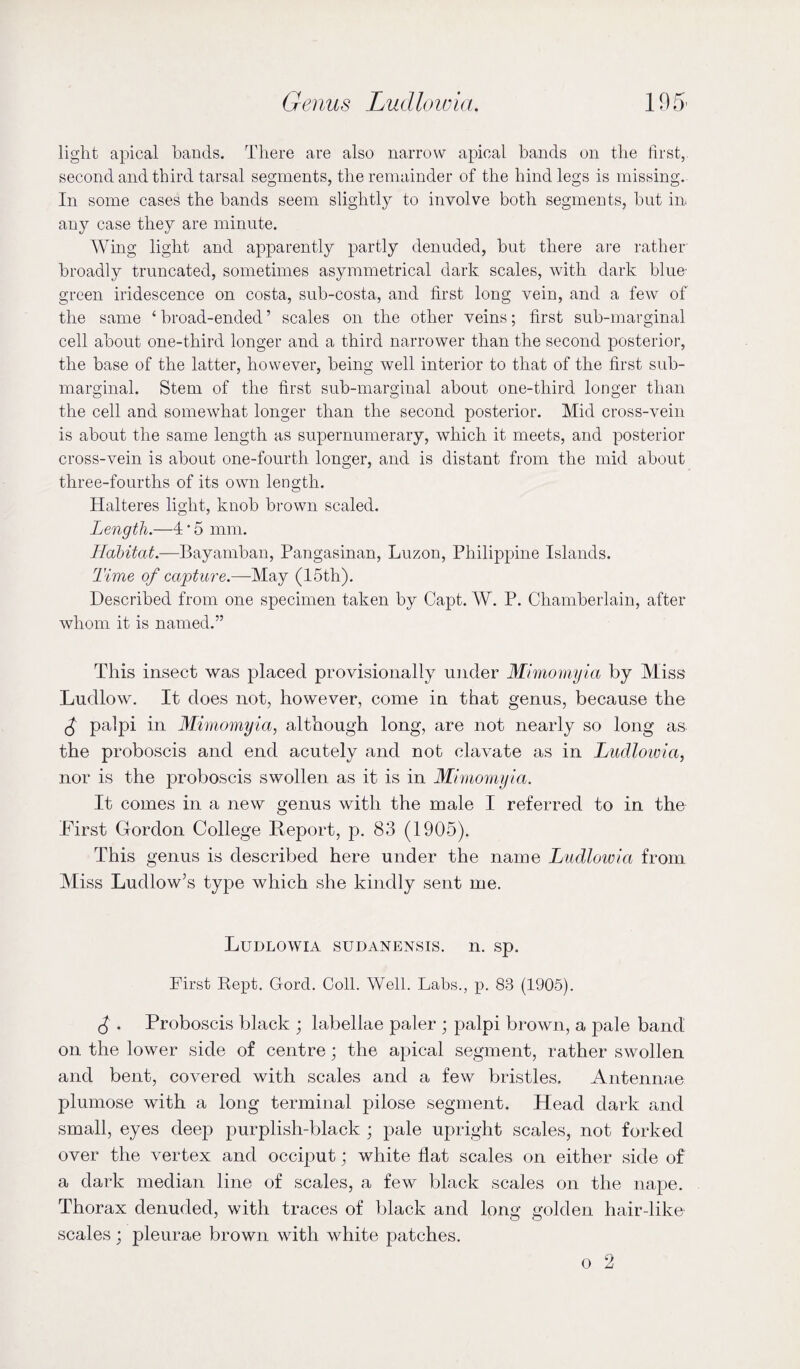 light apical hands. There are also narrow apical hands on the first,, second and third tarsal segments, the remainder of the hind legs is missing. In some cases the hands seem slightly to involve both segments, hnt in. any case they are minute. Wing light and apparently partly denuded, hut there ai’e rather' broadly truncated, sometimes asymmetrical dark scales, with dark hliin green iridescence on costa, suh-costa, and first long vein, and a few of the same ‘ broad-ended ’ scales on the other veins; first sub-marginal cell about one-third longer and a third narrower than the second posterior, the base of the latter, however, being well interior to that of the first sub¬ marginal. Stem of the first sub-marginal about one-third longer than the cell and somewhat longer than the second posterior. Mid cross-vein is about the same length as supernumerary, which it meets, and posterior cross-vein is about one-fourth longer, and is distant from the mid about three-fourths of its own length. Halteres light, knob brown scaled. Length.—4'5 mm. Habitat.—Bayamban, Pangasinan, Luzon, Philippine Islands. Time of capture.—May (I5th). Described from one specimen taken by Capt. W. P. Chamberlain, after whom it is named.” This insect was placed provisionally under Mhnomyia by Miss Ludlow. It does not, however, come in that genus, because the f palpi in Mimomyia, although long, are not nearly so long as the proboscis and end acutely and not clavate as in Ludlowia, nor is the proboscis swollen as it is in Mimomyia. It comes in a new genus with the male I referred to in the First Gordon College Report, p. 83 (1905). This genus is described here under the name Ludlowia from Miss Ludlow’s tyjDe which she kindly sent me. Ludlowia sudanensis. n. sp. First Kept. Gord. Coll. Well. Labs., p. 83 (1905). ^ . Proboscis black ; labellae paler ; palpi brown, a pale band on the lower side of centre; the apical segment, rather swollen and bent, covered with scales and a few bristles. Antennae plumose with a long terminal pilose segment. Head dark and small, eyes deep purplish-black ; pale upright scales, not forked over the vertex and occiput; white flat scales on either side of a dark median line of scales, a few black scales on the nape. Thorax denuded, with traces of black and long golden hair-like scales; pleurae brown with white patches. o 2
