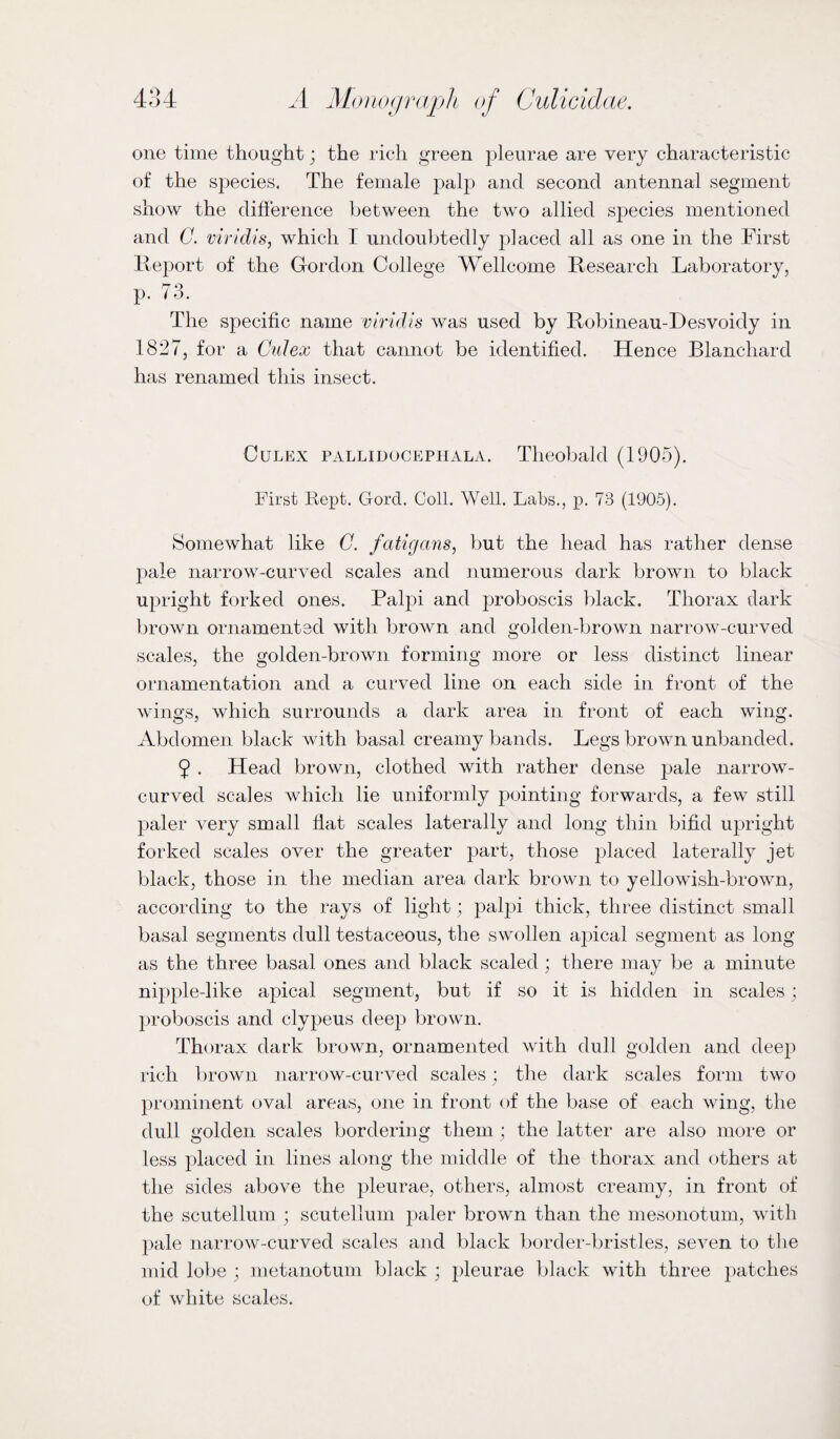 one time thought; the rich green pleurae are very characteristic of the species. The female palp and second antennal segment show the difierence between the two allied species mentioned and G. viridis, which I undoubtedly placed all as one in the First Report of the Gordon College Wellcome Research Laboratory, p. 73. The specific name viridis was used by Robineau-Desvoidy in 1827, for a Culex that cannot be identified. Hence Blanchard has renamed this insect. Culex pallidocephala. Theobald (1905). First Kept. Gord. Coll. Well. Labs., p. 73 (1905). Somewhat like C. fatigcms, but the head has rather dense pale narrow-curved scales and numerous dark brown to black upright forked ones. Palpi and proboscis black. Thorax dark brown ornamented with brown and golden-brown narrow-curved scales, the golden-brown forming more or less distinct linear ornamentation and a curved line on each side in front of the wings, which surrounds a dark area in front of each wing. Abdomen black with basal creamy bands. Legs brown unbanded. 9 . Head brown, clothed with rather dense pale narrow- curved scales which lie uniformly pointing forwards, a few still paler very small flat scales laterally and long thin bifid upright forked scales over the greater part, those placed laterally jet black, those in the median area dark brown to yellowish-brown, according to the rays of light ; palpi thick, three distinct small basal segments dull testaceous, the swollen apical segment as long as the three basal ones and black scaled ; there may be a minute nipple-like apical segment, but if so it is hidden in scales ; })roboscis and clypeus deep brown. Thorax dark brown, ornamented with dull golden and deep rich brown narrow-curved scales ; the dark scales form two prominent oval areas, one in front of the base of each wing, the dull golden scales bordering them : the latter are also more or less placed in lines along the middle of the thorax and others at the sides above the pleurae, others, almost creamy, in front of the scutellum ; scutellum paler brown than the mesonotum, with pale narrow-curved scales and black border-bristles, seven to the mid lobe ; metanotum black ; pleurae black with three patches of white scales.