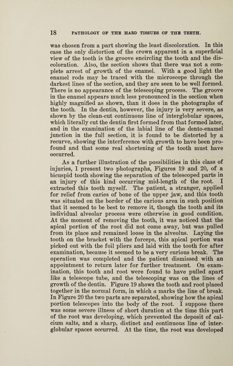 was chosen from a part showing the least discoloration. In this case the only distortion of the crown apparent in a superficial view of the tooth is the groove encircling the tooth and the dis¬ coloration. Also, the section shows that there was not a com¬ plete arrest of growth of the enamel. With a good light the enamel rods may be traced with the microscope through the darkest lines of the section, and they are seen to be well formed. There is no appearance of the telescoping process. The groove in the enamel appears much less pronounced in the section when highly magnified as shown, than it does in the photographs of the tooth. In the dentin, however, the injury is very severe, as shown by the clean-cut continuous line of interglobular spaces, which literally cut the dentin first formed from that formed later, and in the examination of the labial line of the dento-enamel junction in the full section, it is found to be distorted by a recurve, showing the interference with growth to have been pro¬ found and that some real shortening of the tooth must have occurred. As a further illustration of the possibilities in this class of injuries, I present two photographs, Figures 19 and 20, of a bicuspid tooth showing the separation of the telescoped parts in an injury of this kind occurring mid-length of the root. I extracted this tooth myself. The patient, a stranger, applied for relief from caries of bone of the upper jaw, and this tooth was situated on the border of the carious area in such position that it seemed to be best to remove it, though the tooth and its individual alveolar process were otherwise in good condition. At the moment of removing the tooth, it was noticed that the apical portion of the root did not come away, but was pulled from its place and remained loose in the alveolus. Laying the tooth on the bracket with the forceps, this apical portion was picked out with the foil pliers and laid with the tooth for after examination, because it seemed to be a very curious break. The operation was completed and the patient dismissed with an appointment to return later for further treatment. On exam¬ ination, this tooth and root were found to have pulled apart like a telescope tube, and the telescoping was on the lines of growth of the dentin. Figure 19 shows the tooth and root placed together in the normal form, in which a marks the line of break. In Figure 20 the two parts are separated, showing how the apical portion telescopes into the body of the root. I suppose there was some severe illness of short duration at the time this part of the root was developing, which prevented the deposit of cal¬ cium salts, and a sharp, distinct and continuous line of inter- globular spaces occurred. At the time, the root was developed