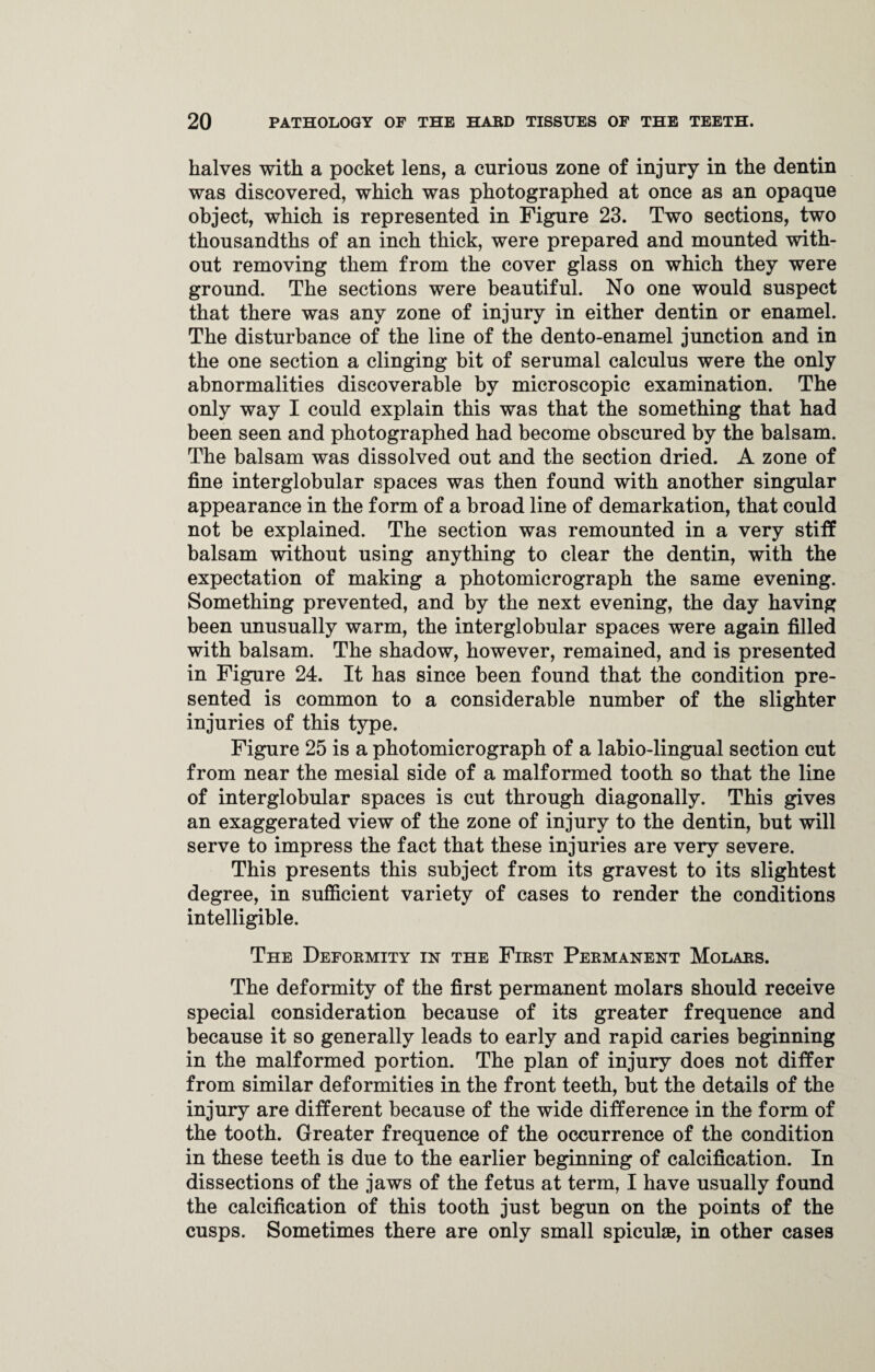 halves with a pocket lens, a curious zone of injury in the dentin was discovered, which was photographed at once as an opaque object, which is represented in Figure 23. Two sections, two thousandths of an inch thick, were prepared and mounted with¬ out removing them from the cover glass on which they were ground. The sections were beautiful. No one would suspect that there was any zone of injury in either dentin or enamel. The disturbance of the line of the dento-enamel junction and in the one section a clinging bit of serumal calculus were the only abnormalities discoverable by microscopic examination. The only way I could explain this was that the something that had been seen and photographed had become obscured by the balsam. The balsam was dissolved out and the section dried. A zone of fine interglobular spaces was then found with another singular appearance in the form of a broad line of demarkation, that could not be explained. The section was remounted in a very stiff balsam without using anything to clear the dentin, with the expectation of making a photomicrograph the same evening. Something prevented, and by the next evening, the day having been unusually warm, the interglobular spaces were again filled with balsam. The shadow, however, remained, and is presented in Figure 24. It has since been found that the condition pre¬ sented is common to a considerable number of the slighter injuries of this type. Figure 25 is a photomicrograph of a labio-lingual section cut from near the mesial side of a malformed tooth so that the line of interglobular spaces is cut through diagonally. This gives an exaggerated view of the zone of injury to the dentin, but will serve to impress the fact that these injuries are very severe. This presents this subject from its gravest to its slightest degree, in sufficient variety of cases to render the conditions intelligible. The Deformity in the First Permanent Molars. The deformity of the first permanent molars should receive special consideration because of its greater frequence and because it so generally leads to early and rapid caries beginning in the malformed portion. The plan of injury does not differ from similar deformities in the front teeth, but the details of the injury are different because of the wide difference in the form of the tooth. Greater frequence of the occurrence of the condition in these teeth is due to the earlier beginning of calcification. In dissections of the jaws of the fetus at term, I have usually found the calcification of this tooth just begun on the points of the cusps. Sometimes there are only small spiculse, in other cases