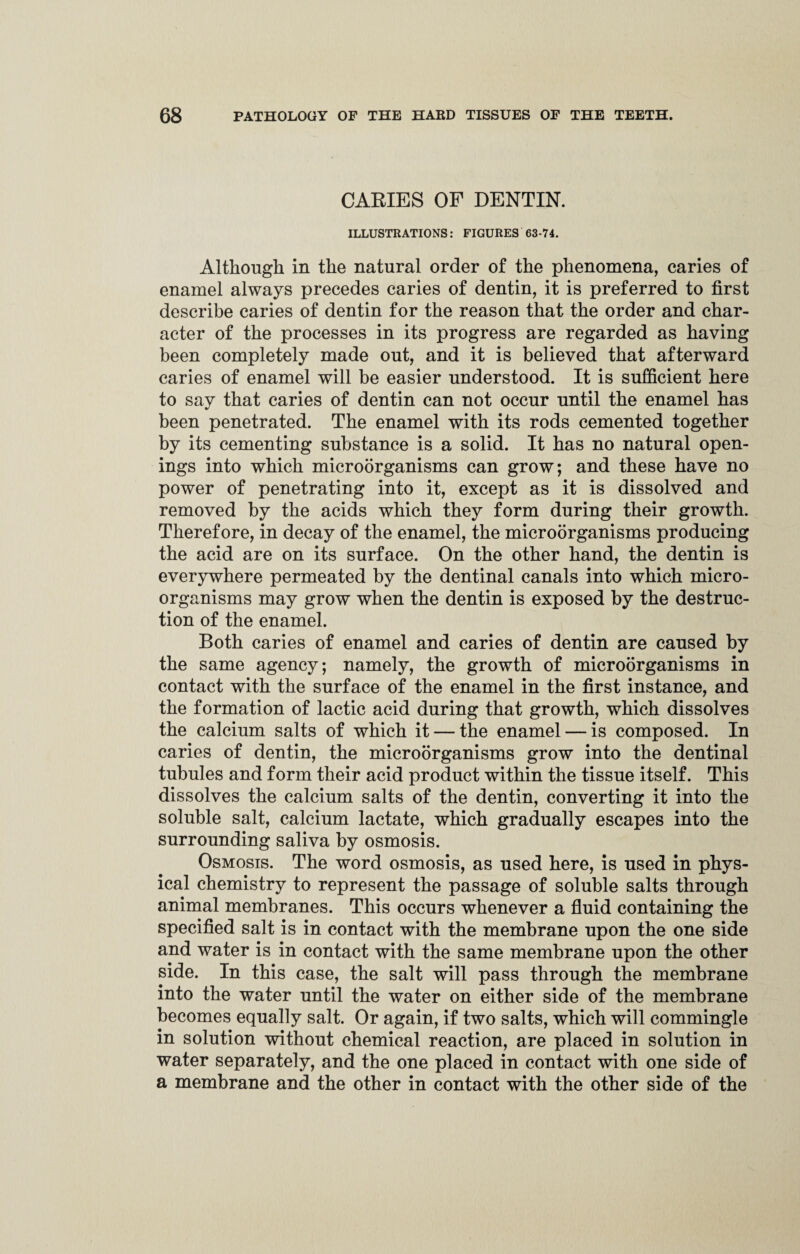 CARIES OF DENTIN. ILLUSTRATIONS: FIGURES 63-74. Although in the natural order of the phenomena, caries of enamel always precedes caries of dentin, it is preferred to first describe caries of dentin for the reason that the order and char¬ acter of the processes in its progress are regarded as having been completely made out, and it is believed that afterward caries of enamel will be easier understood. It is sufficient here to say that caries of dentin can not occur until the enamel has been penetrated. The enamel with its rods cemented together by its cementing substance is a solid. It has no natural open¬ ings into which microorganisms can grow; and these have no power of penetrating into it, except as it is dissolved and removed by the acids which they form during their growth. Therefore, in decay of the enamel, the microorganisms producing the acid are on its surface. On the other hand, the dentin is everywhere permeated by the dentinal canals into which micro¬ organisms may grow when the dentin is exposed by the destruc¬ tion of the enamel. Both caries of enamel and caries of dentin are caused by the same agency; namely, the growth of microorganisms in contact with the surface of the enamel in the first instance, and the formation of lactic acid during that growth, which dissolves the calcium salts of which it — the enamel — is composed. In caries of dentin, the microorganisms grow into the dentinal tubules and form their acid product within the tissue itself. This dissolves the calcium salts of the dentin, converting it into the soluble salt, calcium lactate, which gradually escapes into the surrounding saliva by osmosis. Osmosis. The word osmosis, as used here, is used in phys¬ ical chemistry to represent the passage of soluble salts through animal membranes. This occurs whenever a fluid containing the specified salt is in contact with the membrane upon the one side and water is in contact with the same membrane upon the other side. In this case, the salt will pass through the membrane into the water until the water on either side of the membrane becomes equally salt. Or again, if two salts, which will commingle in solution without chemical reaction, are placed in solution in water separately, and the one placed in contact with one side of a membrane and the other in contact with the other side of the