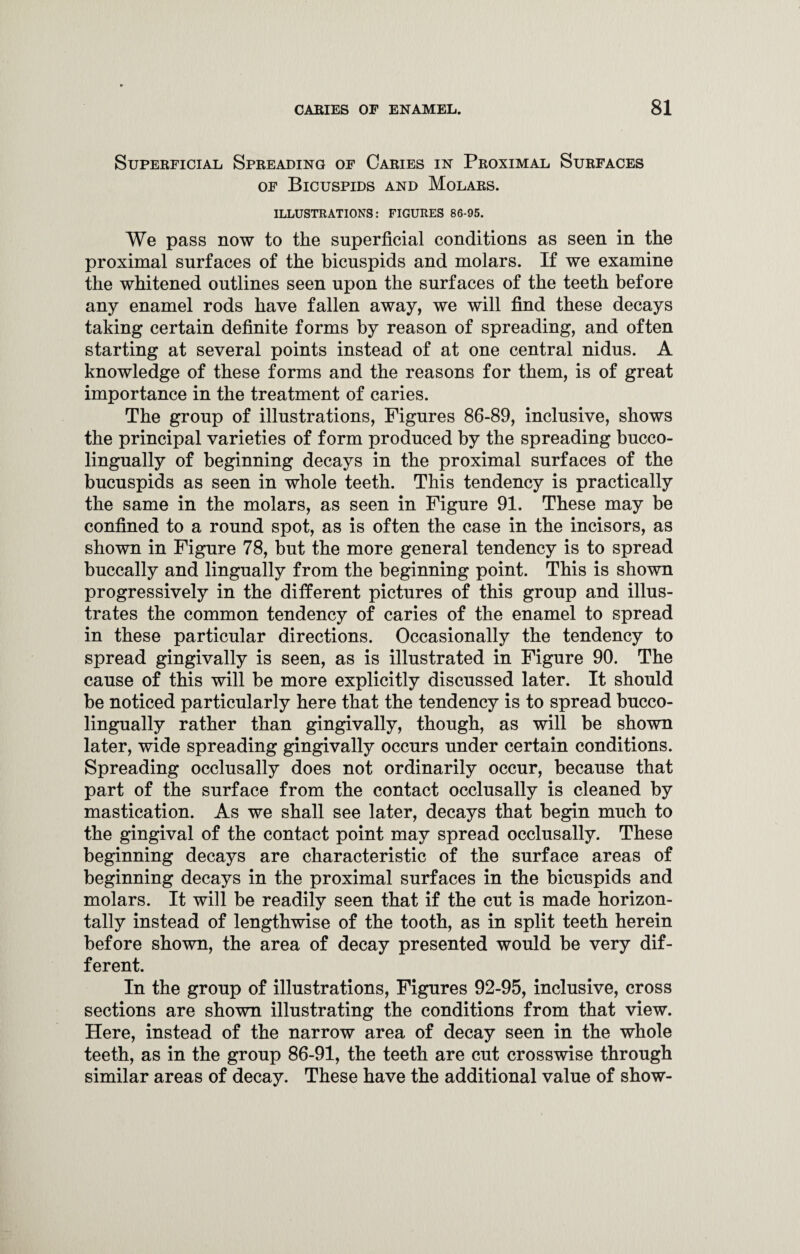 Superficial Spreading of Caries in Proximal Surfaces of Bicuspids and Molars. ILLUSTRATIONS: FIGURES 86-95. We pass now to the superficial conditions as seen in the proximal surfaces of the bicuspids and molars. If we examine the whitened outlines seen upon the surfaces of the teeth before any enamel rods have fallen away, we will find these decays taking certain definite forms by reason of spreading, and often starting at several points instead of at one central nidus. A knowledge of these forms and the reasons for them, is of great importance in the treatment of caries. The group of illustrations, Figures 86-89, inclusive, shows the principal varieties of form produced by the spreading bucco- lingually of beginning decays in the proximal surfaces of the bucuspids as seen in whole teeth. This tendency is practically the same in the molars, as seen in Figure 91. These may be confined to a round spot, as is often the case in the incisors, as shown in Figure 78, but the more general tendency is to spread buccally and lingually from the beginning point. This is shown progressively in the different pictures of this group and illus¬ trates the common tendency of caries of the enamel to spread in these particular directions. Occasionally the tendency to spread gingivally is seen, as is illustrated in Figure 90. The cause of this will be more explicitly discussed later. It should be noticed particularly here that the tendency is to spread bucco- lingually rather than gingivally, though, as will be shown later, wide spreading gingivally occurs under certain conditions. Spreading occlusally does not ordinarily occur, because that part of the surface from the contact occlusally is cleaned by mastication. As we shall see later, decays that begin much to the gingival of the contact point may spread occlusally. These beginning decays are characteristic of the surface areas of beginning decays in the proximal surfaces in the bicuspids and molars. It will be readily seen that if the cut is made horizon¬ tally instead of lengthwise of the tooth, as in split teeth herein before shown, the area of decay presented would be very dif¬ ferent. In the group of illustrations, Figures 92-95, inclusive, cross sections are shown illustrating the conditions from that view. Here, instead of the narrow area of decay seen in the whole teeth, as in the group 86-91, the teeth are cut crosswise through similar areas of decay. These have the additional value of show-