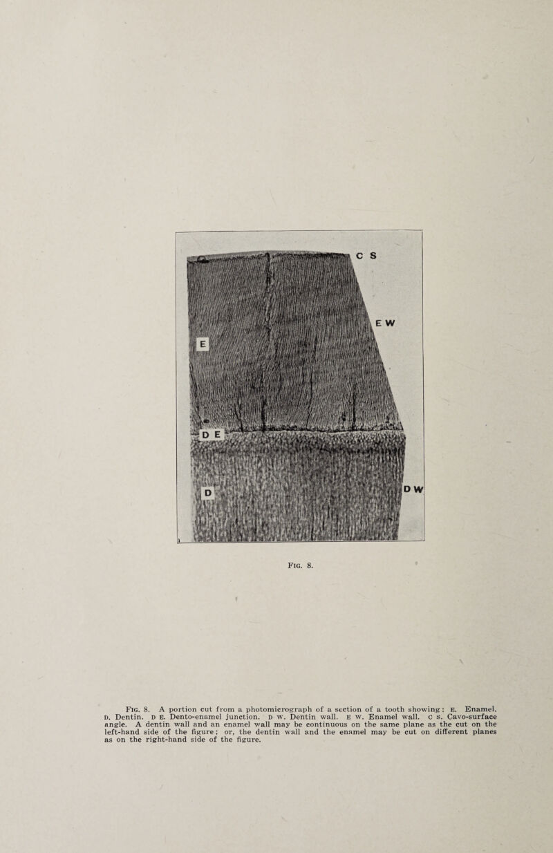 Fig. 8. A portion cut from a photomicrograph of a section of a tooth showing : E. Enamel. D. Dentin. D E. Dento-enamel junction. D w. Dentin wall, e w. Enamel wall, c s. Cavo-surface angle. A dentin wall and an enamel wall may be continuous on the same plane as the cut on the left-hand side of the figure ; or, the dentin wall and the enamel may be cut on different planes as on the right-hand side of the figure.