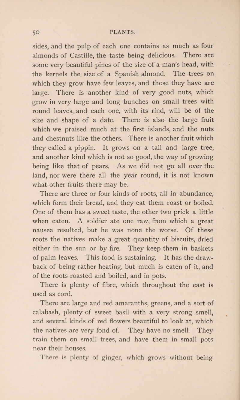 sides, and the pulp of each one contains as much as four almonds of Castille, the taste being delicious. There are some very beautiful pines of the size of a man’s head, with the kernels the size of a Spanish almond. The trees on which they grow have few leaves, and those they have are large. There is another kind of very good nuts, which grow in very large and long bunches on small trees with round leaves, and each one, with its rind, will be of the size and shape of a date. There is also the large fruit which we praised much at the first islands, and the nuts and chestnuts like the others. There is another fruit which they called a pippin. It grows on a tall and large tree, and another kind which is not so good, the way of growing being like that of pears. As we did not go all over the land, nor were there all the year round, it is not known what other fruits there may be. There are three or four kinds of roots, all in abundance, which form their bread, and they eat them roast or boiled. One of them has a sweet taste, the other two prick a little when eaten. A soldier ate one raw, from which a great nausea resulted, but he was none the worse. Of these roots the natives make a great quantity of biscuits, dried either in the sun or by fire. They keep them in baskets of palm leaves. This food is sustaining. It has the draw¬ back of being rather heating, but much is eaten of it, and of the roots roasted and boiled, and in pots. There is plenty of fibre, which throughout the east is used as cord. There are large and red amaranths, greens, and a sort of calabash, plenty of sweet basil with a very strong smell, and several kinds of red flowers beautiful to look at, which the natives are very fond of. They have no smell. They train them on small trees, and have them in small pots near their houses. There is plenty of ginger, which grows without being
