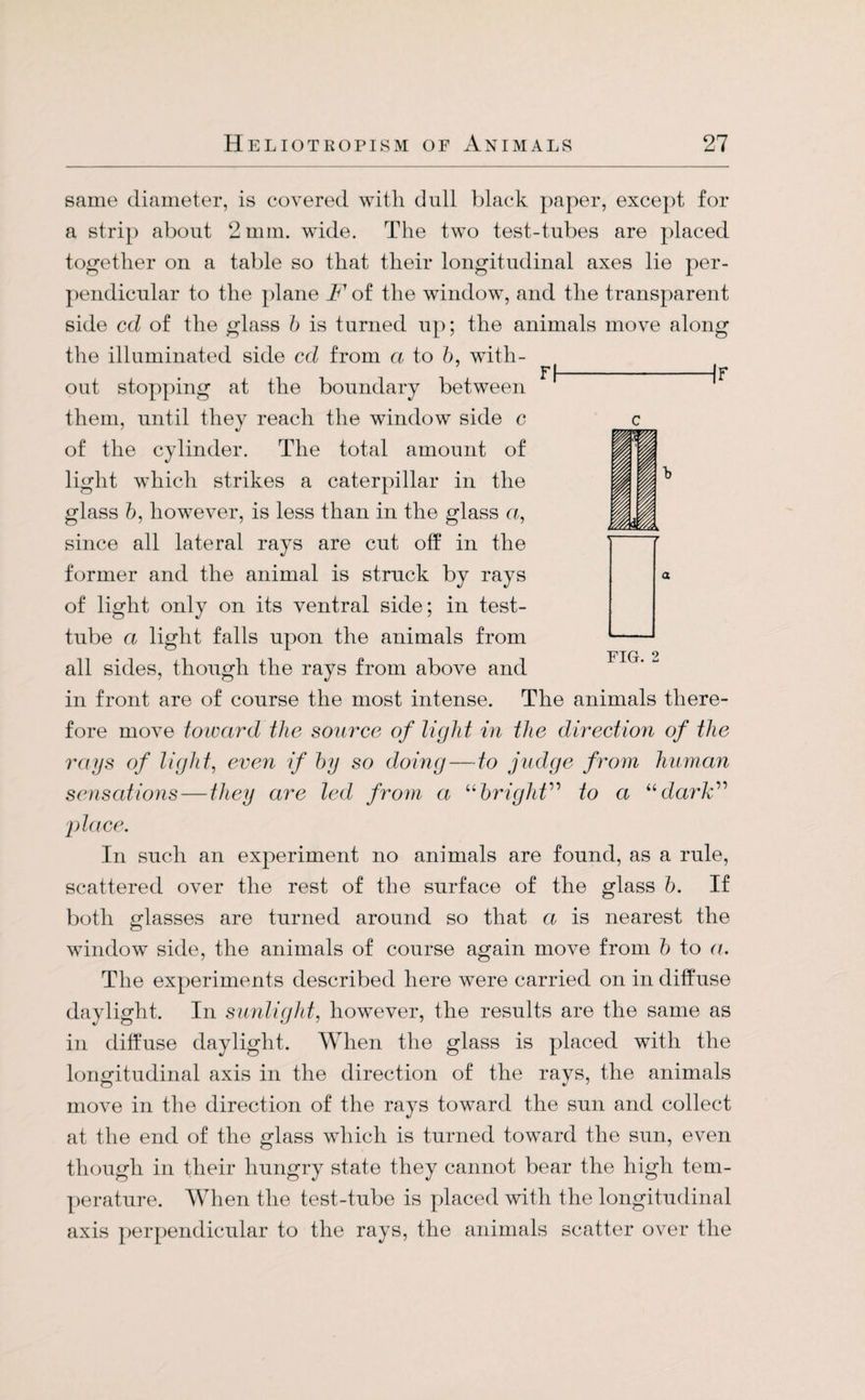 FI IF 1 FIG. 2 same diameter, is covered with dull black paper, except for a strip about 2 mm. wide. The two test-tubes are placed together on a table so that their longitudinal axes lie per¬ pendicular to the plane F of the window, and the transparent side cd of the glass b is turned up; the animals move along the illuminated side cd from a to b, with¬ out stopping at the boundary between them, until they reach the window side c of the cylinder. The total amount of light which strikes a caterpillar in the glass b, however, is less than in the glass a, since all lateral rays are cut off in the former and the animal is struck by rays of light only on its ventral side; in test- tube a light falls upon the animals from all sides, though the rays from above and in front are of course the most intense. The animals there¬ fore move toward the source of light in the direction of the rays of light, even if by so doing—to judge from human sensations — they are led from a “bright” to a “dark” place. In such an experiment no animals are found, as a rule, scattered over the rest of the surface of the glass b. If both glasses are turned around so that a is nearest the window side, the animals of course again move from b to a. The experiments described here were carried on in diffuse daylight. In sunlight, however, the results are the same as in diffuse daylight. When the glass is placed with the longitudinal axis in the direction of the rays, the animals move in the direction of the rays toward the sun and collect at the end of the glass which is turned toward the sun, even though in their hungry state they cannot bear the high tem¬ perature. When the test-tube is placed with the longitudinal axis perpendicular to the rays, the animals scatter over the