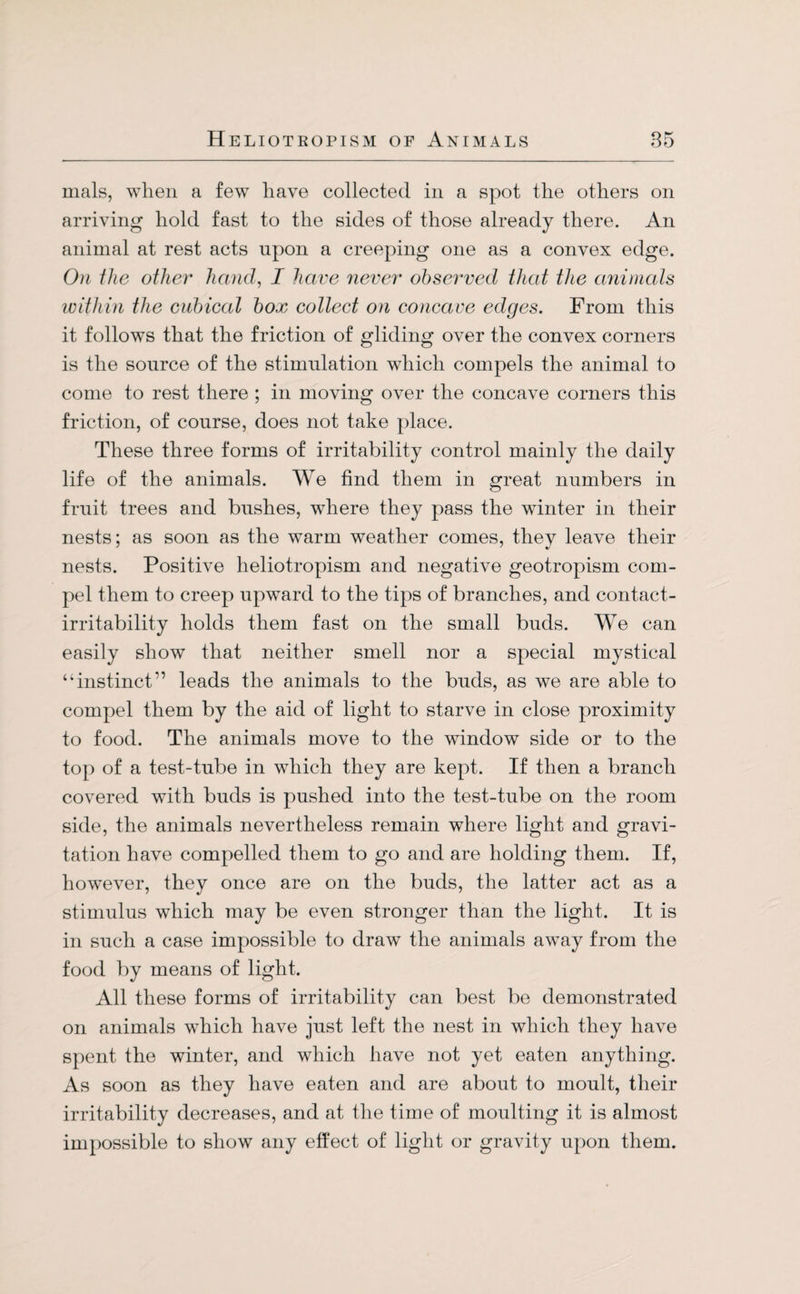 mals, when a few have collected in a spot the others on arriving hold fast to the sides of those already there. An animal at rest acts upon a creeping one as a convex edge. On the other hand, I have never observed that the animals within the cubical box collect on concave edges. From this it follows that the friction of gliding over the convex corners is the source of the stimulation which compels the animal to come to rest there ; in moving over the concave corners this friction, of course, does not take place. These three forms of irritability control mainly the daily life of the animals. We find them in great numbers in fruit trees and bushes, where they pass the winter in their nests: as soon as the warm weather comes, thev leave their nests. Positive heliotropism and negative geotropism com¬ pel them to creep upward to the tips of branches, and contact- irritability holds them fast on the small buds. We can easily show that neither smell nor a special mystical “instinct” leads the animals to the buds, as we are able to compel them by the aid of light to starve in close proximity to food. The animals move to the window side or to the top of a test-tube in which they are kept. If then a branch covered with buds is pushed into the test-tube on the room side, the animals nevertheless remain where light and gravi¬ tation have compelled them to go and are holding them. If, however, they once are on the buds, the latter act as a stimulus which may be even stronger than the light. It is in such a case impossible to draw the animals away from the food by means of light. All these forms of irritability can best be demonstrated on animals which have just left the nest in which they have spent the winter, and which have not yet eaten anything. As soon as they have eaten and are about to moult, their irritability decreases, and at the time of moulting it is almost impossible to show any effect of light or gravity upon them.