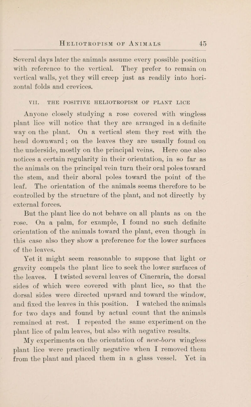 Several clays later the animals assume every possible position with reference to the vertical. They prefer to remain on vertical walls, yet they will creep just as readily into hori¬ zontal folds and crevices. VII. THE POSITIVE HELIOTROPISM OF PLANT LICE Anyone closely studying a rose covered with wingless plant lice will notice that they are arranged in a definite way on the plant. On a vertical stem they rest with the head downward ; on the leaves they are usually found on the underside, mostly on the principal veins. Here one also notices a certain regularity in their orientation, in so far as the animals on the principal vein turn their oral poles toward the stem, and their aboral poles toward the point of the leaf. The orientation of the animals seems therefore to be controlled by the structure of the plant, and not directly by external forces. But the plant lice do not behave on all plants as on the rose. On a palm, for example, I found no such definite orientation of the animals toward the plant, even though in this case also they show a preference for the lower surfaces of the leaves. Yet it might seem reasonable to suppose that light or gravity compels the plant lice to seek the lower surfaces of the leaves. I twisted several leaves of Cineraria, the dorsal sides of which were covered with plant lice, so that the dorsal sides were directed upward and toward the window, and fixed the leaves in this position. I watched the animals for two days and found by actual count that the animals remained at rest. I repeated the same experiment on the plant lice of palm leaves, but also with negative results. My experiments on the orientation of new-born wingless plant lice were practically negative when I removed them from the plant and placed them in a glass vessel. Yet in
