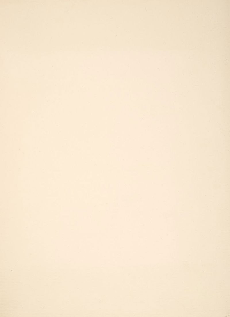 05 ya : ; . Sgelere | - re + , ; = . ‘ ; f a ¢ a Seat, ‘ é : : ; = > ? e a — ° 4 Sele —_ = = se Se 4 C5 = LA. <4 See Te