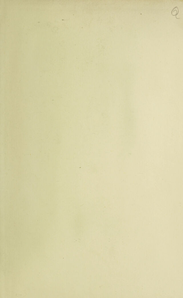 digitised image 3