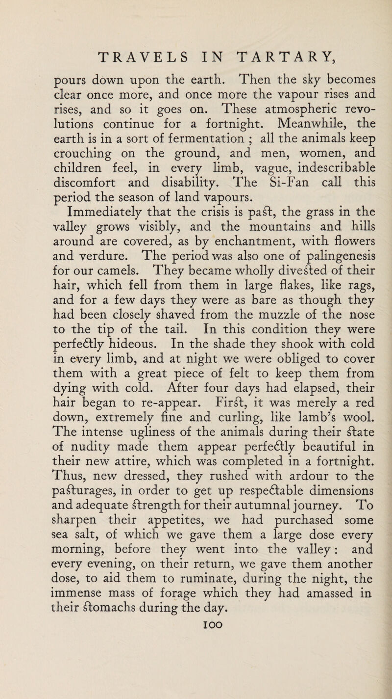 pours down upon the earth. Then the sky becomes clear once more, and once more the vapour rises and rises, and so it goes on. These atmospheric revo¬ lutions continue for a fortnight. Meanwhile, the earth is in a sort of fermentation ; all the animals keep crouching on the ground, and men, women, and children feel, in every limb, vague, indescribable discomfort and disability. The Si-Fan call this period the season of land vapours. Immediately that the crisis is paSt, the grass in the valley grows visibly, and the mountains and hills around are covered, as by enchantment, with flowers and verdure. The period was also one of palingenesis for our camels. They became wholly diveSted. of their hair, which fell from them in large flakes, like rags, and for a few days they were as bare as though they had been closely shaved from the muzzle of the nose to the tip of the tail. In this condition they were perfectly hideous. In the shade they shook with cold in every limb, and at night we were obliged to cover them with a great piece of felt to keep them from dying with cold. After four days had elapsed, their hair began to re-appear. FirSt, it was merely a red down, extremely fine and curling, like lamb’s wool. The intense ugliness of the animals during their State of nudity made them appear perfectly beautiful in their new attire, which was completed in a fortnight. Thus, new dressed, they rushed with ardour to the pasturages, in order to get up respedfable dimensions and adequate Strength for their autumnal journey. To sharpen their appetites, we had purchased some sea salt, of which we gave them a large dose every morning, before they went into the valley: and every evening, on their return, we gave them another dose, to aid them to ruminate, during the night, the immense mass of forage which they had amassed in their Stomachs during the day. loo