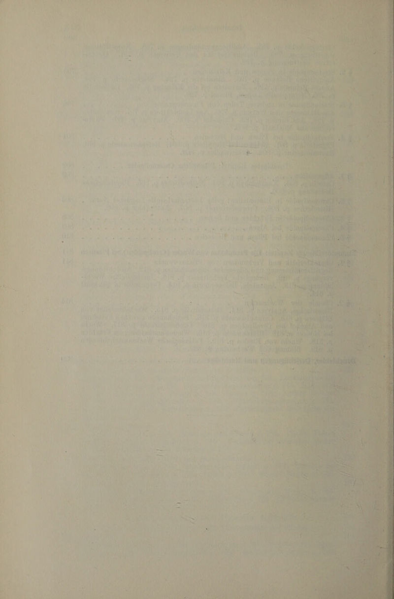 V « • , > ■ ; ■