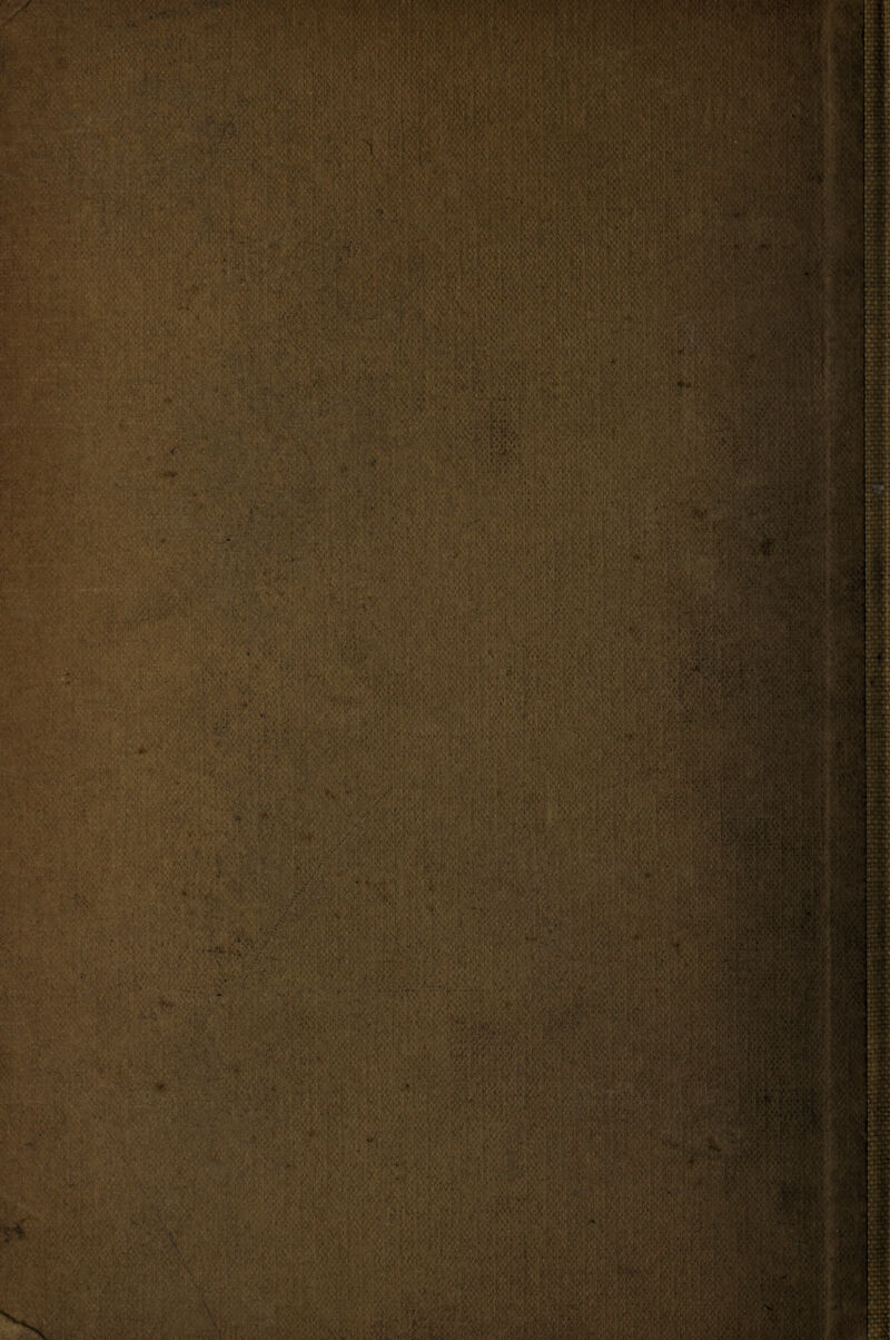 .■ ♦ , * • rv« ?■ ki< mmmmma ^WT''. 5 ‘VwJST 'v vif14 ->>•*• , .,. ■ » > 'I* i . .'’Mf/SV, J • •> V» . rv'j :S i*«,: j-f« .gc 'W^tP%.^XWnmWm - • ?•.'.•, .• , f ' V , ' '-. • ,.v> f'). '■■ V1 »• • ..£•'*•■ • fu ,5' *.$*■$??* '«* :Ä M .”' ?J.V pjnMRt, ;|4 vyj