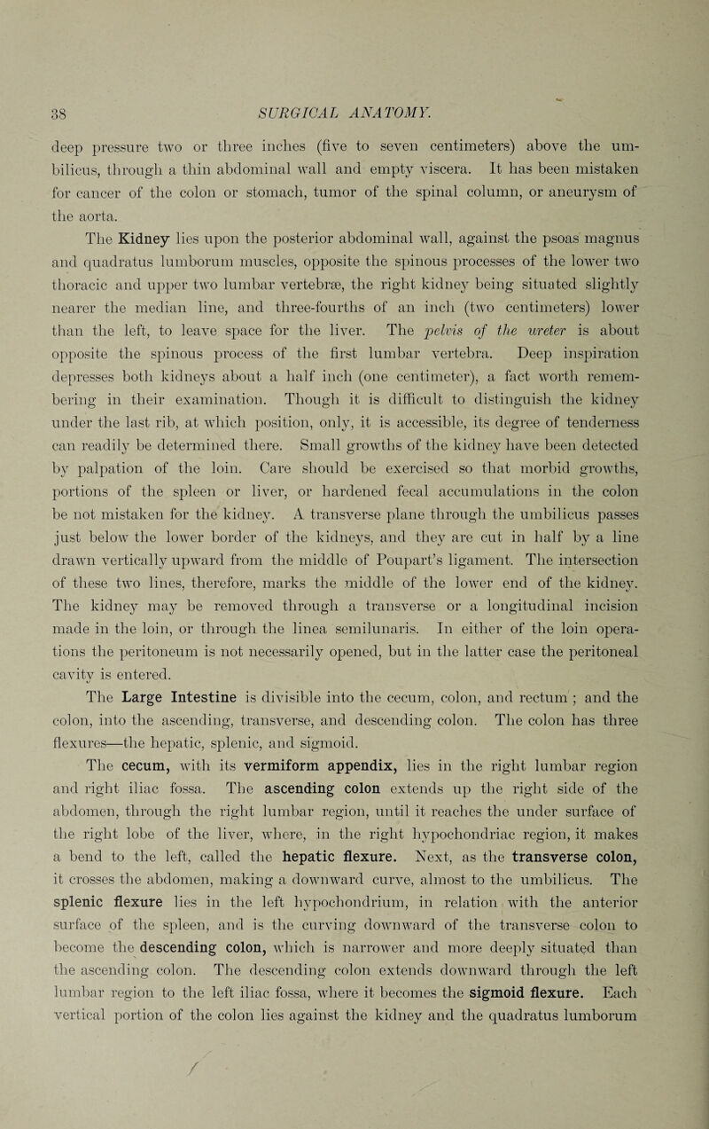 deep pressure two or three inches (five to seven centimeters) above the um¬ bilicus, through a thin abdominal wall and empty viscera. It has been mistaken for cancer of the colon or stomach, tumor of the spinal column, or aneurysm of the aorta. The Kidney lies upon the posterior abdominal wall, against the psoas magnus and quadratus lumborum muscles, opposite the spinous processes of the lower two thoracic and upper two lumbar vertebrae, the right kidney being situated slightly nearer the median line, and three-fourths of an inch (two centimeters) lower than the left, to leave space for the liver. The jpelvis of the ureter is about opposite the spinous process of the first lumbar vertebra. Deep inspiration depresses both kidneys about a half inch (one centimeter), a fact worth remem¬ bering in their examination. Though it is difficult to distinguish the kidney under the last rib, at which position, only, it is accessible, its degree of tenderness can readily be determined there. Small growths of the kidney have been detected by palpation of the loin. Care should be exercised so that morbid growths, portions of the spleen or liver, or hardened fecal accumulations in the colon be not mistaken for the kidney. A transverse plane through the umbilicus passes just below the lower border of the kidneys, and they are cut in half by a line drawn vertically upward from the middle of Poupart’s ligament. The intersection of these two lines, therefore, marks the middle of the lower end of the kidney. The kidney may be removed through a transverse or a longitudinal incision made in the loin, or through the linea semilunaris. In either of the loin opera¬ tions the peritoneum is not necessarily opened, but in the latter case the peritoneal cavitv is entered. *7 The Large Intestine is divisible into the cecum, colon, and rectum ; and the colon, into the ascending, transverse, and descending colon. The colon has three flexures—the hepatic, splenic, and sigmoid. The cecum, with its vermiform appendix, lies in the right lumbar region and right iliac fossa. The ascending colon extends up the right side of the abdomen, through the right lumbar region, until it reaches the under surface of the right lobe of the liver, where, in the right hypochondriac region, it makes a bend to the left, called the hepatic flexure. Next, as the transverse colon, it crosses the abdomen, making a downward curve, almost to the umbilicus. The splenic flexure lies in the left hypochondrium, in relation with the anterior surface of the spleen, and is the curving downward of the transverse colon to become the descending colon, which is narrower and more deeply situated than the ascending colon. The descending colon extends downward through the left lumbar region to the left iliac fossa, where it becomes the sigmoid flexure. Each vertical portion of the colon lies against the kidney and the quadratus lumborum / ■