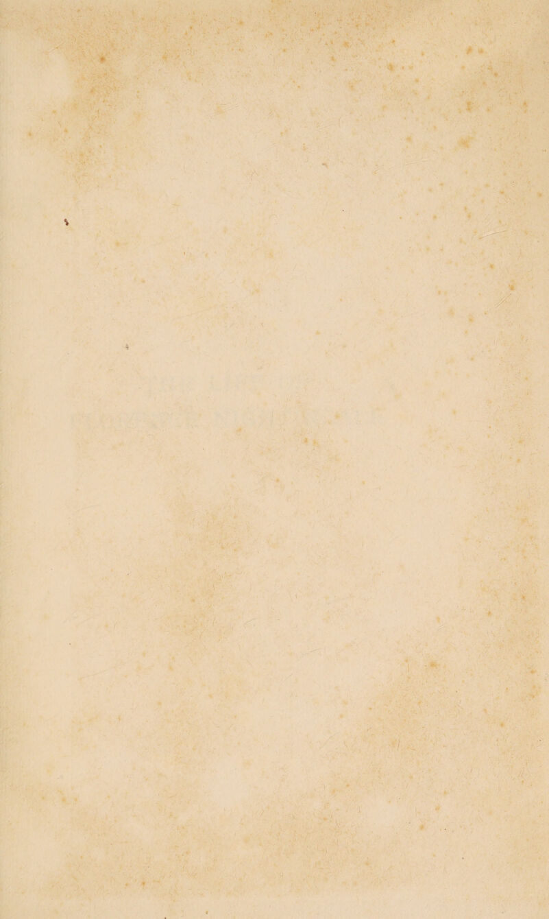 r - •<* * ■ ' . v' ). ‘ ' 'A.. \ * ■ t . *■ . /* ■ - ■ -■ ! (I r . 1 . tc I • *=: 1 . ) '. 1 , ■ * ^ * 4 ’ ■ ■ ■> ’■ Vk. :' •; - * ] i; ’ ; i i ‘ « • . •«'f ' . ‘ > • v - /: : , ' • • ■ -iv:- ' , ' • ' ♦ \\ ■ ’ ; il * • • ' • r