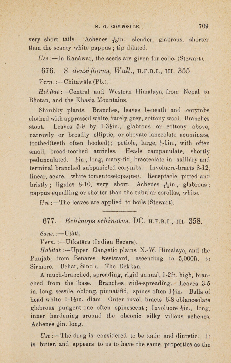 / N. 0. COMPOSITE. , 709 very short tails. Achenes TVn-> slender, glabrous, shorter than the scanty white pappus ; tip dilated. Use :—In Kanawar, the seeds are given for colic. (Stewart\ 676. S. densiflorus, Wall., h.f.b.i., hi. 355. Vern.: — Chitawala (Pb.). Habitat:—Central and Western Himalaya, from Nepal to Bhotan, and the Khasia Mountains. Shrubby plants. Branches, leaves beneath and corymbs clothed with appressed white, rarely grey, cottony wool. Branches stout. Leaves 5-9 by l-3|in., glabrous or cottony above, narrowly or broadly elliptic, or obovate lanceolate acuminate, toothed(teeth often hooked); petiole, large, £-lin., with often small, broad-toothed auricles. Heads campanulate, shortly pedunculated. £in , long, many-fid, bracteolate in axillary and terminal branched subpanicled corymbs. Involucre-bracts 8-12, linear, acute, white tomentose(opaque). Receptacle pitted and bristly; ligules 8-10, very short. Achenes T5?in., glabrous; pappus equalling or shorter than the tubular corollas, white. Use The leaves are applied to boils (Stewart). 677. Echinops echinatus, DC. h.f.b.i., iii. 358. Sans. :—Utati. Vern. :—Utkatara (Indian Bazars). Habitat:—Upper Gangetic plains, N.-W. Himalaya, and the Punjab, from Benares Westward, ascending to 5,000ft. to Sirmore. Behar, Sindh. The Dekkan. A much-branched, spreading, rigid annual, l-2ft. high, bran¬ ched from the base. Branches wide-spreading. Leaves 3-5 in. long, sessile, oblong, pinnatifid, spines often Ifin. Balls of head white l-l|in. dram Outer invol. bracts 6-8 oblanceolate glabrous pungent one often spinescent; Involucre £in., long, inner hardening around the obconic silky villous achenes. Achenes iin. long. Use The drug is considered to be tonic and diuretic. It is bitter, and appears to us to have the same properties as the