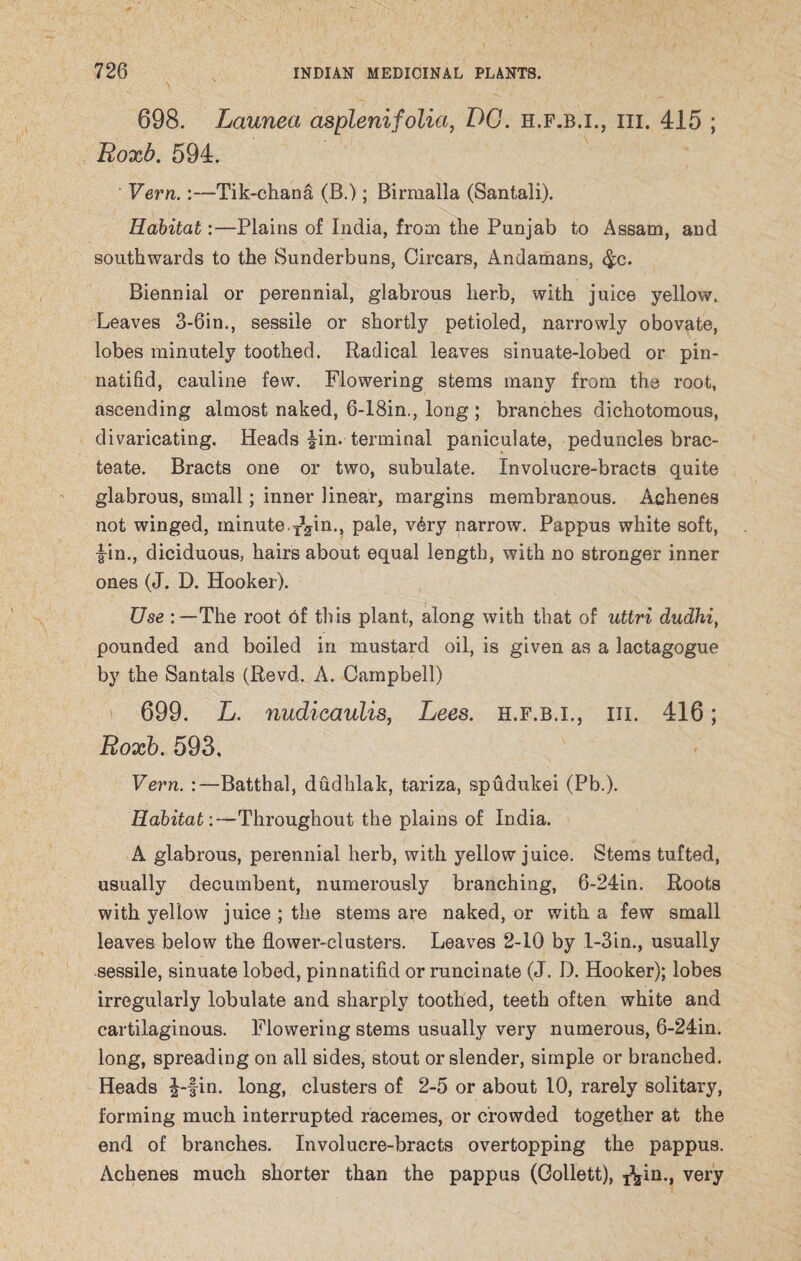 698. Launea asplenifolia, DC. h.f.b.i., hi. 415 ; Roxb. 594. Vern.:—Tik-chana (B.); Birmalla (Santali). Habitat:—Plains of India, from the Punjab to Assam, and southwards to the Sunderbuns, Circars, Andamans, #c. Biennial or perennial, glabrous herb, with juice yellow. Leaves 3-6in., sessile or shortly petioied, narrowly obovate, lobes minutely toothed. Radical leaves sinuate-lobed or pin- natifid, cauline few. Flowering stems many from the root, ascending almost naked, 6-18in., long ; branches dichotomous, divaricating. Heads |in. terminal paniculate, peduncles brac- teate. Bracts one or two, subulate. Involucre-bracts quite glabrous, small; inner linear, margins membranous. Achenes not winged, minute pale, v6ry narrow. Pappus white soft, £in., diciduous, hairs about equal length, with no stronger inner ones (J. D. Hooker). Use The root of this plant, along with that of uttri dudhi, pounded and boiled in mustard oil, is given as a lactagogue by the Santals (Revd. A. Campbell) 699. L. nudicaulis, Lees, h.f.b.i., iii. 416; Roxb. 593, Vern. :—Batthal, dudhlak, tariza, spudukei (Pb.). Habitat:—Throughout the plains of India. A glabrous, perennial herb, with yellow juice. Stems tufted, usually decumbent, numerously branching, 6-24in. Roots with yellow juice ; the stems are naked, or with a few small leaves below the flower-clusters. Leaves 2-10 by l-3in., usually sessile, sinuate lobed, pinnatifid or runcinate (J. D. Hooker); lobes irregularly lobulate and sharply toothed, teeth often white and cartilaginous. Flowering stems usually very numerous, 6-24in. long, spreading on all sides, stout or slender, simple or branched. Heads ^-fin. long, clusters of 2-5 or about 10, rarely solitary, forming much interrupted racemes, or crowded together at the end of branches. Involucre-bracts overtopping the pappus. Achenes much shorter than the pappus (Collett), ^in., very