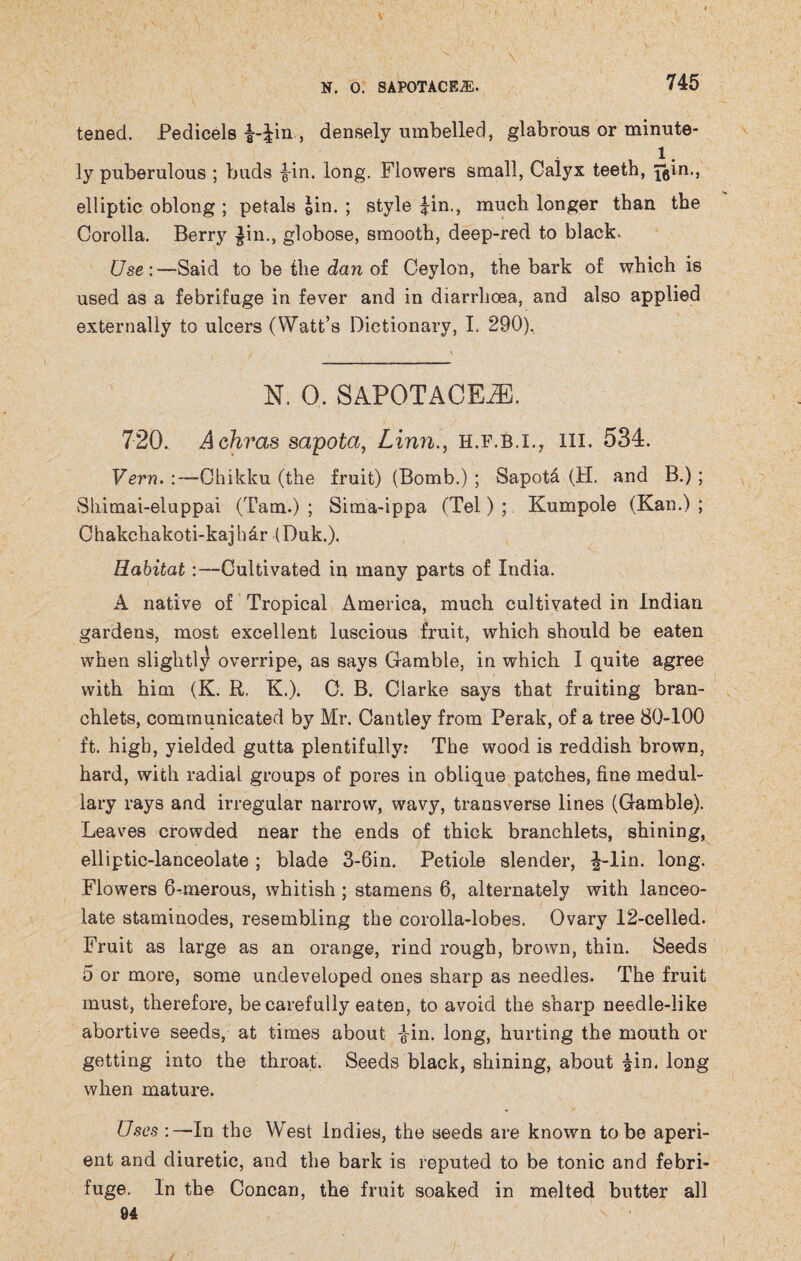 \ N. 0. SAPOTACEiE. 745 tened. Pedicels J-Jin , densely umbelled, glabrous or minute¬ ly puberulous ; buds Jin. long. Flowers small, Calyx teeth, Fgin., elliptic oblong ; petals gin. ; style Jin., much longer than the Corolla. Berry Jin., globose, smooth, deep-red to black. Use :—Said to be the dan of Ceylon, the bark of which is used as a febrifuge in fever and in diarrhoea, and also applied externally to ulcers (Watt’s Dictionary, I. 290)., N. 0. SAPOTACEiE. 720. Achras sapota, Linn., h.f.b.i., hi. 534. Vern. :— Ghikku (the fruit) (Bomb.) ; Sapot& (H. and B.) ; Sliimai-eluppai (Tam.) ; Sima-ippa (Tel) ; Kumpole (Kan.) ; Chakchakoti-kaj h&r (Duk,). Habitat:—Cultivated in many parts of India. A native of Tropical America, much cultivated in Indian gardens, most excellent luscious fruit, which should be eaten when slightly overripe, as says Gamble, in which I quite agree with him (K. R. K.). C. B. Clarke says that fruiting bran- chlets, communicated by Mr. Cantley from Perak, of a tree 80-100 ft. high, yielded gutta plentifully? The wood is reddish brown, hard, with radial groups of pores in oblique patches, fine medul¬ lary rays and irregular narrow, wavy, transverse lines (Gamble). Leaves crowded near the ends of thick branchlets, shining, elliptic-lanceolate; blade 3-6in. Petiole slender, J-lin. long. Flowers 6-merous, whitish ; stamens 6, alternately with lanceo¬ late staminodes, resembling the corolla-lobes. Ovary 12-celled. Fruit as large as an orange, rind rough, brown, thin. Seeds 5 or more, some undeveloped ones sharp as needles. The fruit must, therefore, be carefully eaten, to avoid the sharp needle-like abortive seeds, at times about Jin. long, hurting the mouth or getting into the throat. Seeds black, shining, about Jin. long when mature. Uses :—In the West Indies, the seeds are known to be aperi¬ ent and diuretic, and the bark is reputed to be tonic and febri¬ fuge. In the Concan, the fruit soaked in melted butter all 94