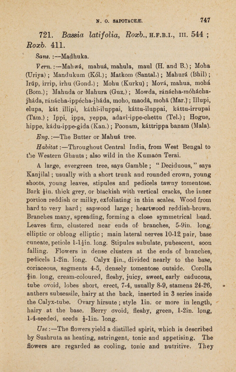 721. Bassia latifolia, Roxb., h.f.b.i., hi. 544 ; Roxb. 411. Sans. :—Madhuka. Vern.:—Mahwd, mahud, mahula, maul (H. and B.); Moha (Uriya) ; Mandukum (K61.); Matkom (Santal.); Mahurd (Bhil); Irtip, irrip, irhu (Gond.); Mohu (Kurku) ; Mova, makua, moha (Bom.); Mahuda or Mahura (Guz,); Mowda, ranacha-mdhdcha- jhada, rariacha-ipp6cha-jhdda, moho, maodd, moha (Mar.)'; Illupi, elupa, kat illipi, kathi-iluppai, kdttu-iluppai, kattu-irrupai (Tam.) ; Ippi, ippa, yeppa, adavi-ippe-chettu (Tel.); Hogue, hippe, kadu-ippe-gida (Kan.); Poonam, kdttrippa banam (Mala). Eng.:—The Butter or Mahud tree. Habitat:—Throughout Central India, from West Bengal to the Western Ghauts ; also wild in the Kumaon Terai. A. large, evergreen tree, says Gamble ; “ Deciduous, ” says Kanjilal; usually with a short trunk and rounded crown, young shoots, young leaves, stipules and pedicels tawny tomentose. Bark |in. thick grey, or blackish with vertical cracks, the inner portion reddish or milky, exfoliating in thin scales. Wood from hard to very hard ; sapwood large ; heartwood reddish-brown. Branches many, spreading, forming a close symmetrical head. Leaves firm, clustered near ends ofi branches, 5-9in. long, elliptic or oblong elliptic ; main lateral nerves 10-1% pair, base cuneate, petiole 1-l^in. long. Stipules subulate, pubescent, soon falling. Flowers in dense clusters at the ends of branches, pedicels l-2in. long. Calyx fin., divided nearly to the base, coriaceous, segments 4-5, densely tomentose outside. Corolla fin. long, cream-coloured, fleshy, juicy, sweet, early caducous, tube ovoid, lobes short, erect, 7-4, usually 8-9, stamens 24-26, anthers subsessile, hairy at the back, inserted in 3 series inside the Calyx-tube. Ovary hirsute ; style lin. or more in length, hairy at the base. Berry ovoid, fleshy, green, l-2in. lpng, 1-4-seeded, seeds f-lin. long. Use :—The flowers yield a distilled spirit, which is described by Sushruta as heating, astringent,- tonic and appetising. The flowers are regarded as cooling, tonic and nutritive, They