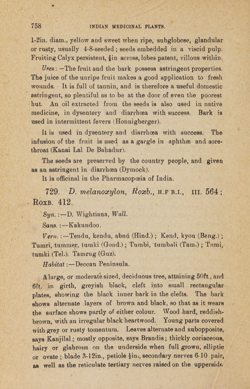l-2in. diam., yellow and sweet when ripe, subglobose, glandular or rusty, usually 4-8-seeded ; seeds embedded in a viscid pulp. Fruiting Calyx persistent, fin across, lobes patent, villous within. Uses: —The fruit and the bark possess astringent properties. The juice of the unripe fruit makes a good application to fresh wounds. It is full of tannin, and is therefore a useful domestic astringent, so plentiful as to be at the door of even the poorest hut. An oil extracted from the seeds is also used in native medicine, in dysentery and diarrhoea with success. Bark is used in intermittent fevers (Honnigberger). It is used in dysentery and diarrhoea with success. The infusion of the fruit is used as a gargle in aphthae and sore- throat (Kanai Lai De Bahadur). The seeds are preserved by the country people, and given as an astringent in diarrhoea (Dymock). It is officinal in the Pharmacopoeia of India. 729. D. melanoxylon, Roxb., h.fb.i,, hi. 564; - Roxb. 412. Syn. :—D. Wightiana, Wall. Sans. :—Kakundoo. Vern. :— Tendu, kendu, abnu (Hind.); Kend, kyou (Beng.) ; Tumri, tummer, tutnki (Gond.); Tumbi, tumbali (Tam.); Tumi, tumid (Teh). Tamrug (Guz). Habitat:—Deccan Peninsula. Alarge, or moderate sized, deciduous tree, attaining 50ft., and 6ft. in girth, greyish black, cleft into small rectangular plates, showing the black inner bark in the clefts. The bark shows alternate layers of brown and black, so that as it wears the surface shows partly of either colour. Wood hard, reddish- brown, with an irregular black heartwood. Young parts covered with grey or rusty tomentum. Leaves alternate and subopposite, says Kanjilal; mostly opposite, says Brandis; thickly coriaceous, hairy or glabrous on the underside when full grown, elliptic or ovate ; blade 3-12in., petiole fin., secondary nerves 6-10 pair, as well as the reticulate tertiary nerves raised on the uppersidf.