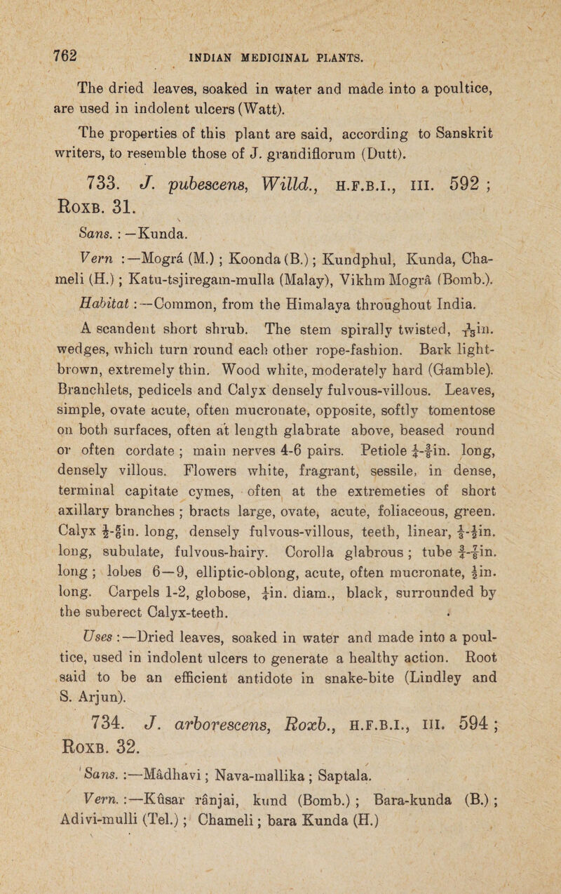 The dried leaves, soaked in water and made into a poultice, are used in indolent ulcers (Watt). The properties of this plant are said, according to Sanskrit writers, to resemble those of J. grandiflorum (Dutt). 733. J. pubeseens, Willd., h.f.b.i., hi. 592 ; Roxb. 31. Sans. : — Kunda. Vern Mogra (M.) ; Koonda(B.); Kundphul, Kunda, Cha- meli (H.); Katu-tsjiregam-mulla (Malay), Vikhm Mogra (Bomb.). Habitat:—Common, from the Himalaya throughout India. A scandent short shrub. The stem spirally twisted, tV11- wedges, which turn round each other rope-fashion. Bark light- brown, extremely thin. Wood white, moderately hard (Gamble). Branchlets, pedicels and Calyx densely fulvous-villous. Leaves, simple, ovate acute, often mucronate, opposite, softly tomentose on both surfaces, often at length glabrate above, beased round or often cordate ; main nerves 4-6 pairs. Petiole i-fin. long, densely villous. Flowers white, fragrant, sessile, in dense, terminal capitate cymes, often at the extremeties of short axillary branches ; bracts large, ovate* acute, foliaceous, green. Calyx i-|in. long, densely fulvous-villous, teeth, linear, i-fin. long, subulate, fulvous-hairy. Corolla glabrous; tube -f-fin. long; lobes 6 — 9, elliptic-oblong, acute, often mucronate, |in. long. Carpels 1-2, globose, ^in. diam., black, surrounded by the suberect Calyx-teeth. Uses :—Dried leaves, soaked in water and made into a poul¬ tice, used in indolent ulcers to generate a healthy action. Root said to be an efficient antidote in snake-bite (Bindley and S. Arjun). 734. J. arborescens, Roxb., h.f.b.i., iii. 594 ; Roxb. 32. Sans. :—Madhavi; Nava-mallika ; Saptala. Vern. :—Kusar ranjai, kund (Bomb.) ; Bara-kunda (B.) ; Adivi-mulli (Tel.); Chameli; bara Kunda (H.)