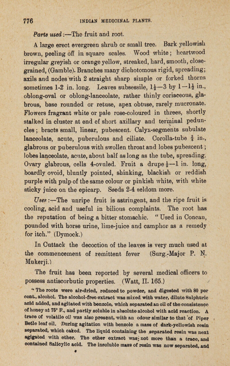Parts used:—The fruit and root. A large erect evergreen shrub or small tree. Bark yellowish brown, peeling off in square scales. Wood white; heartwood irregular greyish or orange yellow, streaked, hard, smooth, close- grained, (Gamble). Branches many dichotomous rigid, spreading; axils and nodes with 2 straight sharp simple or forked thorns sometimes 1-2 in. long. Leaves subsessile, 1$—3 by 1 — 1$ io-> oblong-oval or oblong-lanceolate, rather thinly coriaceous, gla¬ brous, base rounded or retuse, apex obtuse, rarely mucronate. Flowers fragrant white or pale rose-coloured in threes, shortly stalked in cluster at end ef short axillary and terminal pedun¬ cles ; bracts small, linear, pubescent. Calyx-segments subulate lanceolate, acute, puberulous and ciliate. Corolla-tube f in., glabrous or puberulous with swollen throat and lobes pubescent; lobes lanceolate, acute, about half as long as the tube, spreading. Ovary glabrous, cells 4-ovuled. Fruit a drupe \—1 in. long, boardly ovoid, bluntly pointed, shinking, blackish or reddish purple with pulp of the same colour or pinkish white, with white sticky juice on the epicarp. Seeds 2-4 seldom more. Uses The unripe fruit is astringent, and the ripe fruit is cooling, acid and useful in bilious complaints. The root has the reputation of being a bitter stomachic. “ Used in Concan, pounded with horse urine, lime-juice and camphor as a remedy for itch.” (Dymock.) In Cuttack the decoction of the leaves is very much used at the commencement of remittent fever (Surg.-Major P. N. Mukerji.) The fruit has been reported by several medical officers to possess antiscorbutic properties. (Watt, II. 165.) “ The roots were air-dried, reduced to powder, and digested with 80 per cent., alcohol. The alcohol-free extract was mixed with water, dilate Sulphuric acid added, and agitated with benzole, which separated an oil of the consistence of honey at 75° F., and partly soluble in absolute alcohol with acid reaction. A trace of volatile oil was also present, with an odour similar to that of Piper Betle leaf oil. During agitation with benzole a mass of dark-yellowish resin separated, which caked. The liquid containing the separated resin was next agigated with ether. The ether extract was« not more than a trace, and contained Salicylic acid. The insoluble mass of resin was now separated,.and