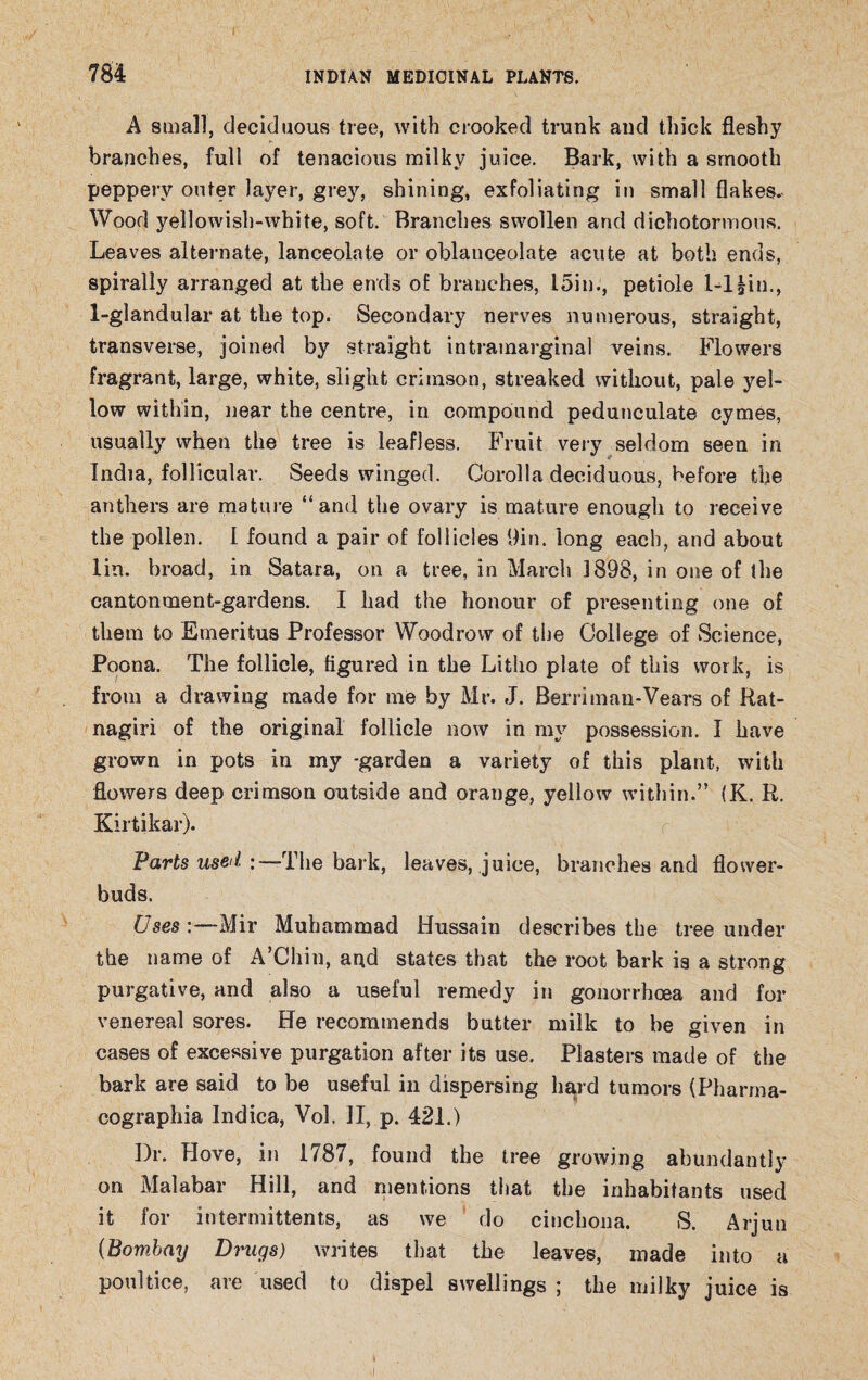 r 784 INDIAN MEDICINAL PLANTS. A small, deciduous tree, with crooked trunk and thick fleshy branches, full of tenacious milky juice. Bark, with a smooth peppery outer layer, grey, shining, exfoliating in small flakes. Wood yellowish-white, soft. Branches swollen and dichotortnous. Leaves alternate, lanceolate or oblanceolate acute at both ends, spirally arranged at the ends of branches, 15in., petiole l-l|in., 1-glandular at the top. Secondary nerves numerous, straight, transverse, joined by straight intramarginal veins. Flowers fragrant, large, white, slight crimson, streaked without, pale yel¬ low within, near the centre, in compound pedunculate cymes, usually when the tree is leafless. Fruit very seldom seen in India, follicular. Seeds winged. Corolla deciduous, before the anthers are mature “and the ovary is mature enough to receive the pollen. I found a pair of follicles 9in. long each, and about lin. broad, in Satara, on a tree, in March 1898, in one of the cantonment-gardens. I had the honour of presenting one of them to Emeritus Professor Woodrow of the College of Science, Poona. The follicle, figured in the Litho plate of this work, is from a drawing made for me by Mr. J. Berrimau-Vears of Rat- nagiri of the original follicle now in my possession. I have grown in pots in my -garden a variety of this plant, with flowers deep crimson outside and orange, yellow within.” (K. R. Kirtikar). Parts used : —The bark, leaves, juice, branches and flower- buds. Uses :—Mir Muhammad Hussain describes the tree under the name of A’Chin, apd states that the root bark is a strong purgative, and also a useful remedy in gonorrhoea and for venereal sores. He recommends butter milk to be given in cases of excessive purgation after its use. Plasters made of the bark are said to be useful in dispersing hard tumors (Pharma- cographia Indica, Vol. II, p. 421.) Dr. Hove, in 1787, found the tree growing abundantly on Malabar Hill, and mentions that the inhabitants used it for intermittents, as we do cinchona. S. Arjuu (Bombay Drugs) writes that the leaves, made into a poultice, are used to dispel swellings ; the milky juice is