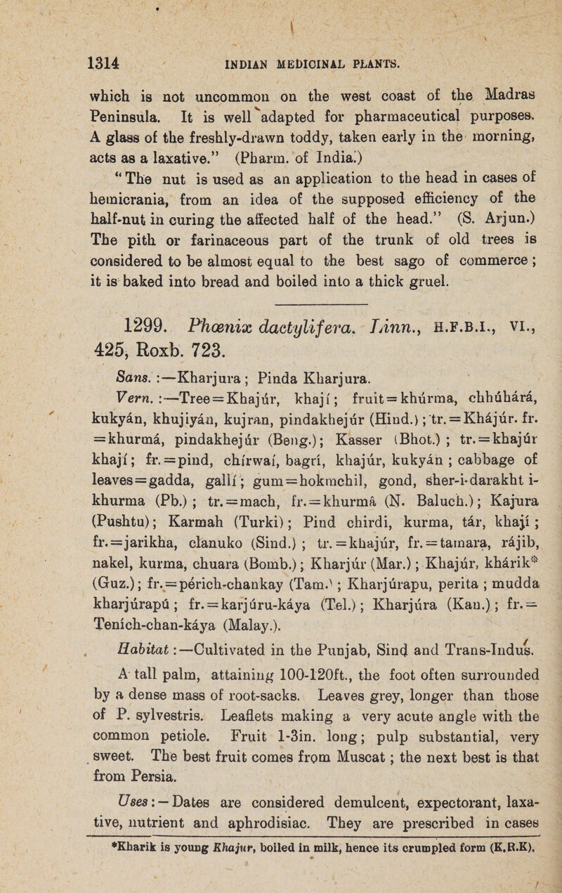 -i ' '• ■ ; V 1314 INDIAN MEDICINAL PLANTS. which is not uncommon on the west coast of the Madras Peninsula. It is well^adapted for pharmaceutical purposes. A glass of the freshly-drawn toddy, taken early in the morning, acts as a laxative.” (Pharm. of India!) “ The nut is used as an application to the head in cases of hemicrania, from an idea of the supposed efficiency of the half-nut in curing the affected half of the head.” (S. Arjun.) The pith or farinaceous part of the trunk of old trees is considered to be almost equal to the best sago of commerce ; it is baked into bread and boiled into a thick gruel. 1299. Phoenix dactylifera. TAnn., h.f.b.i., vi., 425, Roxb. 723. Sans.:—Kharjura; Pinda Kharjura. Vern. :—Tree = Khajur, khaji'; fruit = khurma, chhuhara, kukyan, khujiyan, kujran, pindakhejur (Hind.) ;tr. = Khajur. fr. = khurma, pindakhejtir (Beng.); Kasser (Bhot.) ; tr. = khajur khaji; fr. =pind, chirwai, bagri, khajur, kukyan ; cabbage of leaves=gadda, gallf; gum=hokmchil, gond, sher-i-darakht i- khurma (Pb.) ; tr. = mach, fr. = khurma (N. Baluch.); Kajura (Pushtu); Karmah (Turki); Find chirdi, kurma, tar, khaji; fr.=jarikha, clanuko (Sind.); tr. = khajur, fr. = tamara, rajib, nakel, kurma, chuara (Bomb.); Kharjur (Mar.); Khajur, kharik5-' (Guz.); fr. = perich-chankay (Tam.'' ; Kharjurapu, perita ; mudda kharjurapu ; fr. = karjuru-kaya (Tel.); Kharjura (Kan.); fr.— Tenich-chan-kaya (Malay.). Habitat:—Cultivated in the Punjab, Sind and Trans-Indus. A tall palm, attaining 100-120ft., the foot often surrounded by a dense mass of root-sacks. Leaves grey, longer than those of P. sylvestris. Leaflets making a very acute angle with the common petiole. Fruit l-3in. long; pulp substantial, very sweet. The best fruit comes from Muscat; the next best is that from Persia. Uses: — Dates are considered demulcent, expectorant, laxa¬ tive, nutrient and aphrodisiac. They are prescribed in cases ♦Kharik is young Khajur, boiled in milk, hence its crumpled form (K.R.K).