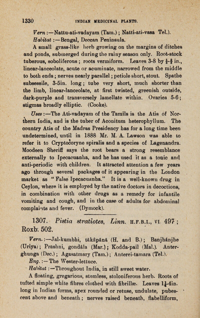 Vern :—Nafctu-ati-vadayam (Tam.); Natti-at.i-vasa Tel.). Habitat:—Bengal, Deccan Peninsula. A small grass-like herb growing on the margins of ditches and ponds, submerged during the rainy season only. Root-stock tuberous, soboliferous ; roots vermiform. Leaves 3-8 by £-f in., linear-lanceolate, acute or acuminate, narrowed from the middle to both ends; nerves nearly parallel; petiole short, stout. Spathe subsessile, 3-5in. long; tube very short, much shorter than the limb, linear-lanceolate, at first twisted, greenish outside, dark-purple and transversely lamellate within. Ovaries 5-6; stigmas broadly elliptic. (Cooke). Uses :—The Ati-vadayam of the Tamils is the Atis of Nor- * them India, and is the tuber of Aconitum heterophyllum. The country Atis of the Madras Presidency has for a long time been undetermined, until in 1888 Mr. M. A. Lawson was able to refer it to Cryptocoryne spiralis and a species of Lagenandra. Moodeen Sheriff says the root bears a strong resemblance externally to Ipecacuanha, and he has used it as a tonic and anti-periodic with children. It attracted attention a few years ago through several packages of it appearing in the London market as “ False Ipecacuanha.” It is a well-known drug in Ceylon, where it is employed by the native doctors in decoctions, in combination with other drugs as a remedy for infantile vomiting and cough, and in the case of adults for abdominal complaints and fever. (Dymock). 1307. Pistia stratiotes, Linn, h.f.b.i., vi. 497 ; Roxk 502. Vern.:—Jai-kumbhi, takapan& (H, and B.); Banjhdnjhe (Uriya;; Prashni, gondala (Mar.); Kodda-pail (Mai.). Anter- ghunga (Dec.); Agasatmary (Tam.); Anterei-tamara (Tel.). Eng.The Wester-lettuce. HabitatThroughout India, in still sweet water. A floating, gregarious, stemless, stoloniferous herb. Roots of tufted simple white fibres clothed with fibrillse. Leaves l|-4in. long in Indian forms, apex rounded or retuse, undulate, pubes- ‘ cent above and beneath; nerves raised beneath, flabelliform.