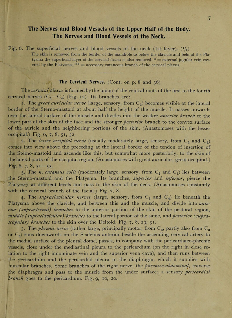 The Nerves and Blood Vessels of the Upper Half of the Body. The Nerves and Blood Vessels of the Neck. 7 Fig. 6. The superficial nerves and blood vessels of the neck (ist layer). (1/2) The skin is removed from the border of the mandible to below the clavicle and behind the Pla¬ tysma the superficial layer of the cervical fascia is also removed. * = external jugular vein cov¬ ered by the Platysma; ** = accessory cutaneous branch of the cervical plexus. The Cervical Nerves. (Cont. on p. 8 and 36) The cervical plexus is formed by the union of the ventral roots of the first to the fourth cervical nerves (C4—C4) (Fig. 12). Its branches are: 1. The great auricular nerve (large, sensory, from C3) becomes visible at the lateral border of the Sterno-mastoid at about half the height of the muscle. It passes upwards over the lateral surface of the muscle and divides into the weaker anterior branch to the lower part of the skin of the face and the stronger posterior branch to the convex surface of the auricle and the neighboring portions of the skin. (Anastomoses with the lesser occipital.) Fig. 6, 7, 8, 51, 52. 2. The lesser occipital nerve (usually moderately large, sensory, from C2 and C3) comes into view above the preceding at the lateral border of the tendon of insertion of the Sterno-mastoid and ascends like this, but somewhat more posteriorly, to the skin of the lateral parts of the occipital region. (Anastomoses with great auricular, great occipital.) Fig. 6, 7, 8, 51—53. 3. The n. cutaneus colli (moderately large, sensory, from C2 and C3) lies between the Sterno-mastoid and the Platysma. Its branches, superior and inferior, pierce the Platysmy at different levels and pass to the skin of the neck. (Anastomoses constantly with the cervical branch of the facial.) Fig. 7, 8. 4. The supraclavicular nerves (large, sensory, from C3 and C4) lie beneath the Platysma above the clavicle, and between this and the muscle, and divide into ante¬ rior (suprasternal) branches to the anterior portion of the skin of the pectoral region, middle (supraclavicular) branches to the lateral portion of the same, and posterior (supra¬ scapular) branches to the skin over the Deltoid. Fig. 7, 8, 29, 31. 5. The phrenic nerve (rather large, principally motor, from C4, partly also from C3 or C5) runs downwards on the Scalenus anterior beside the ascending cervical artery to the medial surface of the pleural dome, passes, in company with the pericardiaco-phrenic vessels, close under the mediastinal pleura to the pericardium (on the right in close re¬ lation to the right innominate vein and the superior vena cava), and then runs between th'* pericardium and the pericardial pleura to the diaphragm, which it supplies with fnuscular branches. Some branches of the right nerve, the phrenico-abdominal, traverse the diaphragm and pass to the muscle from the under surface; a sensory pericardial