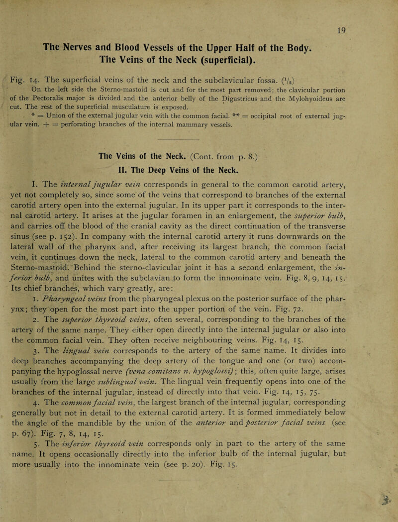The Nerves and Blood Vessels of the Upper Half of the Body. The Veins of the Neck (superficial). 19 Fig. 14. The superficial veins of the neck and the subclavicular fossa. (x/2) On the left side the Sterno-mastoid is cut and for the most part removed; the clavicular portion of the Pectoralis major is divided and the anterior belly of the Digastricus and the Mylohyoideus are cut. The rest of the superficial musculature is exposed. * = Union of the external jugular vein with the common facial. ** = occipital root of external jug¬ ular vein. + = perforating branches of the internal mammary vessels. The Veins of the Neck. (Cont. from p. 8.) II. The Deep Veins of the Neck. I. The internal jugular vein corresponds in general to the common carotid artery, yet not completely so, since some of the veins that correspond to branches of the external carotid artery open into the external jugular. In its upper part it corresponds to the inter¬ nal carotid artery. It arises at the jugular foramen in an enlargement, the superior bulb, and carries off the blood of the cranial cavity as the direct continuation of the transverse sinus (see p. 152). In company with the internal carotid artery it runs downwards on the lateral wall of the pharynx and, after receiving its largest branch, the common facial vein, it continues down the neck, lateral to the common carotid artery and beneath the Sterno-mastoid. Behind the sterno-clavicular joint it has a second enlargement, the in¬ ferior bulb, and unites with the subclavian to form the innominate vein. Fig. 8, 9, 14, 15. Its chief branches, which vary greatly, are: 1. Pharyngeal veins from the pharyngeal plexus on the posterior surface of the phar¬ ynx; they open for the most part into the upper portion of the vein. Fig. 72. 2. The superior thyreoid veins, often several, corresponding to the branches of the artery of the same name. They either open directly into the internal jugular or also into the common facial vein. They often receive neighbouring veins. Fig. 14, 15. 3. The lingual vein corresponds to the artery of the same name. It divides into deep branches accompanying the deep artery of the tongue and one (or two) accom¬ panying the hypoglossal nerve (vena comitans n. hypoglossi) ; this, often quite large, arises usually from the large sublingual vein. The lingual vein frequently opens into one of the branches of the internal jugular, instead of directly into that vein. Fig. 14, 15, 75. 4. The common facial vein, the largest branch of the internal jugular, corresponding generally but not in detail to the external carotid artery. It is formed immediately below the angle of the mandible by the union of the anterior and posterior facial veins (see p. 67). Fig. 7, 8, 14, 15. 5. The inferior thyreoid vein corresponds only in part to the artery of the same name. It opens occasionally directly into the inferior bulb of the internal jugular, but