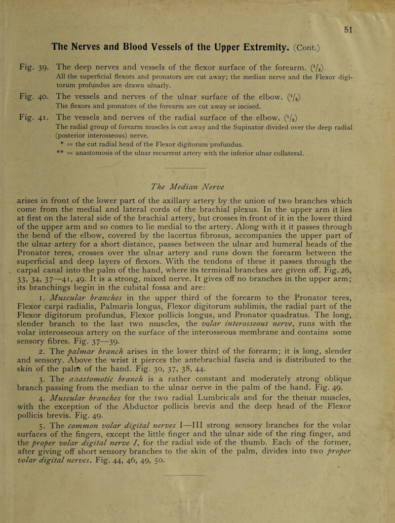 The Nerves and Blood Vessels of the Upper Extremity. (Cont.) The deep nerves and vessels of the flexor surface of the forearm. (1/2) All the superficial flexors and pronators are cut away; the median nerve and the Flexor digi- torum profundus are drawn ulnarly. The vessels and nerves of the ulnar surface of the elbow. (1/2) The flexors and pronators of the forearm are cut away or incised. The radial group of forearm muscles is cut away and the Supinator divided over the deep radial (posterior interosseous) nerve. * = the cut radial head of the Flexor digitorum profundus. ** = anastomosis of the ulnar recurrent artery with the inferior ulnar collateral. The Median Nerve arises in front of the lower part of the axillary artery by the union of two branches which come from the medial and lateral cords of the brachial plexus. In the upper arm it lies at first on the lateral side of the brachial artery, but crosses in front of it in the lower third of the upper arm and so comes to lie medial to the artery. Along with it it passes through the bend of the elbow, covered by the lacertus fibrosus, accompanies the upper part of the ulnar artery for a short distance, passes between the ulnar and humeral heads of the Pronator teres, crosses over the ulnar artery and runs down the forearm between the superficial and deep layers of flexors. With the tendons of these it passes through the carpal canal into the palm of the hand, where its terminal branches are given off. Fig. 26, 33, 34, 37—41, 49. It is a strong, mixed nerve. It gives off no branches in the upper arm; its branchings begin in the cubital fossa and are: 1. Muscular branches in the upper third of the forearm to the Pronator teres, Flexor carpi radialis, Palmaris longus, Flexor digitorum sublimis, the radial part of the Flexor digitorum profundus, Flexor pollicis longus, and Pronator quadratus. The long, slender branch to the last two muscles, the volar interosseous nerve, runs with the volar interosseous artery on the surface of the interosseous membrane and contains some sensory fibres. Fig. 37—39. 2. The palmar branch arises in the lower third of the forearm; it is long, slender and sensory. Above the wrist it pierces the antebrachial fascia and is distributed to the skin of the palm of the hand. Fig. 30, 37, 38, 44. 3. The anastomotic branch is a rather constant and moderately strong oblique branch passing from the median to the ulnar nerve in the palm of the hand. Fig. 49. 4. Muscular branches for the two radial Lumbricals and for the thenar muscles, with the exception of the Abductor pollicis brevis and the deep head of the Flexor pollicis brevis. Fig. 49. 5. The common volar digital nerves I—III strong sensory branches for the volar surfaces of the fingers, except the little finger and the ulnar side of the ring finger, and the proper volar digital nerve /, for the radial side of the thumb. Each of the former, after giving off short sensory branches to the skin of the palm, divides into two proper volar digital nerves. Fig. 44, 46, 49, 5°- Fig. 39- Fig. 40.