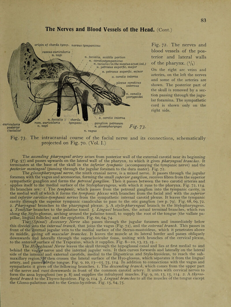 The Nerves and Blood Vessels of the Head. (Cont.) chorda tympani origin of chorda tymp. nervus tympanicus ramus auricidaris n. vagi n. facialis, middle portion n. caroticotympanicus i t n. facialis (in the meatus acust.int.) ' / n. petrosus superfic. major / / ' n. petrosus superfic. minor a. carotis interna plexus caroticus internus n, n. canalis pterygoidei auricularis posterior (facialis) v n. facialis ram. auricularis n. vagi a. carotis interna ganglion petrosum n. glossopharyngei Fig. J3- n. vagus Fig. 72. The nerves and blood vessels of the pos¬ terior and lateral walls of the pharynx. (1/1) On the right arc veins and arteries, on the left the nerves and some of the arteries are shown. The posterior part of the skull is removed by a sec¬ tion passing through the jugu¬ lar foramina. The sympathetic cord is shown only on the right side. Fig. 73. The intracranial course of the facial nerve and its connections, schematically projected on Fig. 70. (Vol. I.) The ascending pharyngeal artery arises from posterior wall of the external carotid near its beginning (Fig. 57) and passes upwards on the lateral wall of the pharynx, to which it gives phary7igeal branches. It terminates at the base of the skull in the inferior tympanic (accompanying the tympanic nerve) and the posterior meningeal (passing through the jugular foramen to the dura mater). Fig. 72. The glossopharyngeal nerve, the ninth cranial nerve, is a mixed nerve. It passes through the jugular foramen with the vagus and accessorius, forming the small superior ganglion, receives fibres from the superior sympathetic ganglion and forms the petrosal ganglion. Then it passes between the two carotid arteries and applies itself to the medial surface of the Stylopharyngeus, with which it runs to the pharynx. Fig. 72, 114. Its branches are: T. The tympanic, which passes from the petrosal ganglion into the tympanic cavity, in the medial wall of which it forms the tympanic plexus with branches from the facial and with the superior and inferior carotico-tympanic nerves from the sympathetic internal carotid plexus. It leaves the tympanic cavity through the superior tympanic canaliculus to pass to the otic ganglion (see p. 79). Fig. 68, 69, 72. 2. Pharyngeal branches to the pharyngeal plexus. 3. A stylo-pharyngeal branch to the Stylopharyngeus. 4. Tonsillar branches to the palatine tonsil. 5. Lingual branches, the actual terminal branches, which run along the Stylo-glossus, arching around the palatine tonsil, to supply the root of the tongue (the vallate pa¬ pillae, lingual follicles) and the epiglottis. Fig. 60, 64, 74. Tho ' (Spinal) Accessory Nerve also passes through the jugular foramen and immediately below this divides into the internal branch, that joins the vagus (Fig. 72), and the external branch. This passes in front of the mternal jugular vein to the medial surface of the Sterno-mastoideus, which it penetrates above its middle, giving off muscular branches. It leaves the muscle at its lateral border and passes obliquely downwards änd laterally through the supraclavicular fossa, uniting with branches of the cervical plexus, to the anterio? surface of the Trapezius, which it supplies. Fig. 8—10, 13, 23, 25. The Hypoglossal Nerve leaves the skull through the hypoglossal canal and lies at first medial to and behind the vagus* nerve and the internal jugular vein. It then curves forwards and laterally on the lateral side of the internal and external carotids, medial to the Digastricus and Stylo-hyoideus, to reach the sub¬ maxillary region,*®? then crosses the lateral surface of the Hyo-glossus, which separates it from the lingual artery, and passes^-o'the tongue. Fig. 9, 10, 13—15, 75, 114. In addition to connections with the vagus and sympathetic it gives off the fellowing branches. I. The descending branch, which comes from the upper part of the nerve and runs downwards in front of the common carotid artery. It unites with cervical nerves to form the ansa hypoglossi (see p. 8) and supplies the infrahyoid muscles. Fig. 9, 10, 13, 15, 114. 2. A thyreo- hyoid branch to the Thyreo-hyoideus. Fig. 9, 114. 3. Lingual branches to all the muscles of the tongue except the Glosso-palatinus and to the Genio-hyoideus. Fig. 15, 64, 75.