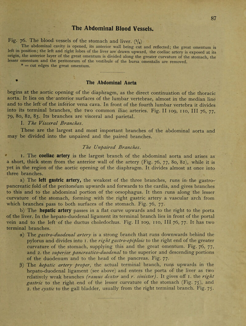 The Abdominal Blood Vessels. Fig. 76. The blood vessels of the stomach and liver. (x/2) The abdominal cavity is opened, its anterior wall being cut and reflected; the great omentum is left in position; the left and right lobes of the liver are drawn upward, the coeliac artery is exposed at its origin, the anterior layer of the great omentum is divided along the greater curvature of the stomach, the lesser omentum and the peritoneum of the vestibule of the bursa omentalis are removed. * = cut edges the great omentum. The Abdominal Aorta begins at the aortic opening of the diaphragm, as the direct continuation of the thoracic aorta. It lies on the'anterior surfaces of the lumbar vertebrae, almost in the median line and to the left of the inferior vena cava. In front of the fourth lumbar vertebra it divides into its terminal branches, the two common iliac arteries. Fig. II 109, no, III 76, 77, 79, 80, 82, 83. Its branches are visceral and parietal. I. The Visceral Branches. These are the largest and most important branches of the abdominal aorta and may be divided into the unpaired and the paired branches. The Unpaired Branches. I. The coeliac artery is the largest branch of the abdominal aorta and arises as a short, thick stem from the anterior wall of the artery (Fig. 76, 77, 80, 82), while it is yet in the region of the aortic opening of the diaphragm. It divides almost at once into three branches. a) The left gastric artery, the weakest of the three branches, runs in the gastro- pancreatic fold of the peritoneum upwards and forwards to the cardia, and gives branches to this and to the abdominal portion of the oesophagus. It then runs along the lesser curvature of the stomach, forming with the right gastric artery a vascular arch from which branches pass to both surfaces of the stomach. Fig. 76, 77. b) The hepatic artery passes in a flat curve upwards and to the right to the porta of the liver. In the hepato-duodenal ligament its terminal branch lies in front of the portal vein and to the left of the ductus choledochus. Fig. II 109, 110, III 76, 77. It has two terminal branches. a) The gastro-duodenal artery is a strong branch that runs downwards behind the pylorus and divides into 1. the right gastro-epiploic to the right end of the greater curvature of the stomach, supplying this and the great omentum. Fig. 76, 77, and 2. the superior pancreatico-duodenal to the superior and descending portions of the duodenum and to the head of the pancreas. Fig. 77. ß) The hepatic artery proper, the actual terminal branch, runs upwards in the hepato-duodenal ligament (see above) and enters the porta of the liver as two relatively weak branches (ramus dexter and r. sinister). It gives off 1. the right gastric to the right end of the lesser curvature of the stomach (Fig. 75), and 2. the cystic to the gall bladder, usually from the right terminal branch. Fig. 75.
