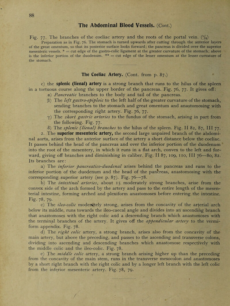 The Abdominal Blood Vessels. (Cont.) Fig. 77. The branches of the coeliac artery and the roots of the portal vein. Q/f Preparation as in Fig. 76. The stomach is turned upwards after cutting through the anterior layers of the great omentum, so that its posterior surface looks forward; the pancreas is divided over the superior mesenteric vessels. * = cut edge of the gastro-colic ligament at the greater curvature of the stomach; above is the inferior portion of the duodenum. ** = cut edge of the lesser omentum at the lesser curvature of the stomach. The Coeliac Artery. (Cont. from p. 87.) c) the splenic (lienal) artery is a strong branch that runs to the hilus of the spleen in a tortuous course along the upper border of the pancreas. Fig. 76, 77. It gives off: a) Pancreatic branches to the body and tail of the pancreas, ß) The left gastro-epiploic to the left half of the greater curvature of the stomach, sending branches to the stomach and great omentum and anastomosing with the corresponding right artery. Fig. 76, 77. y) The short gastric arteries to the fundus of the stomach, arising in part from the following. Fig. 77. 8) The splenic (lienal) branches to the hilus of the spleen. Fig. II 82, 87, III 77. 2. The superior mesenteric artery, the second large unpaired branch of the abdomi¬ nal aorta, arises from the anterior surface of the artery a short distance below the coeliac. It passes behind the head of the pancreas and over the inferior portion of the duodenum into the root of the mesentery, in which it runs in a flat arch, convex to the left and for¬ ward, giving off branches and diminishing in caliber. Fig. II 87, 109, no, III 76—80, 82. Its branches are: a) The inferior pancreatico-duodenal arises behind the pancreas and runs to the inferior portion of the duodenum and the head of the pancreas, anastomosing with the corresponding superior artery (see p. 87). Fig. 76—-78. b) The intestinal arteries, about 15 moderately strong branches, arise from the convex side of the arch formed by the artery and pass to the entire length of the mesen¬ terial intestine, forming arched and plexiform anastomoses before entering the intestine. Fig. 78, 79. c) The ileo-colic moderately strong, arises from the concavity of the arterial arch below its middle, runs towards the ileo-caecal angle and divides into an ascending branch that anastomoses with the right colic and a descending branch which anastomoses with the terminal branches of the artery. It gives off the appendicular artery to the vermi¬ form appendix. Fig. 78. d) The right colic artery, a strong branch, arises also from the concavity of the main artery, but above the preceding, and passes to the ascending and transverse colons, dividing into ascending and descending branches which anastomose respectively with the middle colic and the ileo-colic. Fig. 78. e) The middle colic artery, a strong branch arising higher up than the preceding from the concavity of the main stem, runs in the transverse mesocolon and anastomoses by a short right branch with the right colic and by a longer left branch with the left colic from the inferior mesenteric artery. Fig. 78, 79. /