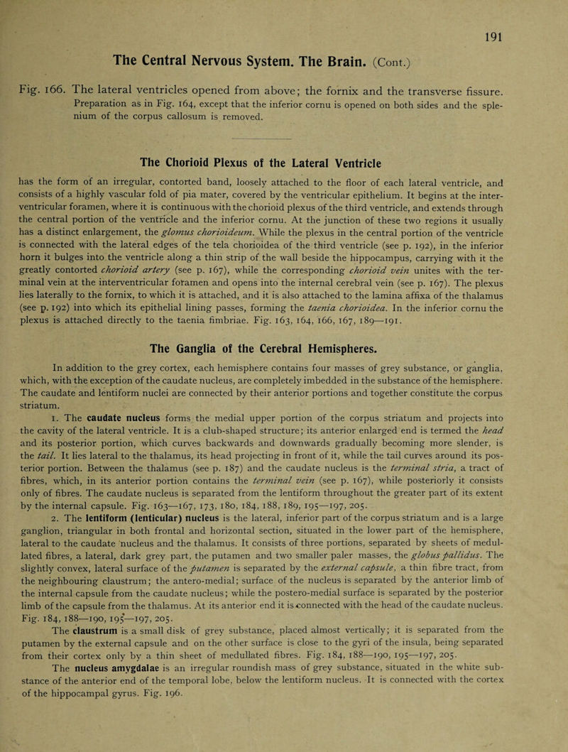 The Central Nervous System. The Brain. (Cont.) Fig. 166. The lateral ventricles opened from above; the fornix and the transverse fissure. Preparation as in Fig. 164, except that the inferior cornu is opened on both sides and the sple- nium of the corpus callosum is removed. The Chorioid Plexus of the Lateral Ventricle has the form of an irregular, contorted band, loosely attached to the floor of each lateral ventricle, and consists of a highly vascular fold of pia mater, covered by the ventricular epithelium. It begins at the inter¬ ventricular foramen, where it is continuous with the chorioid plexus of the third ventricle, and extends through the central portion of the ventricle and the inferior cornu. At the junction of these two regions it usually has a distinct enlargement, the glomus chorioideum. While the plexus in the central portion of the ventricle is connected with the lateral edges of the tela chorioidea of the third ventricle (see p. 192), in the inferior horn it bulges into the ventricle along a thin strip of the wall beside the hippocampus, carrying with it the greatly contorted chorioid artery (see p. 167), while the corresponding chorioid vein unites with the ter¬ minal vein at the interventricular foramen and opens into the internal cerebral vein (see p. 167). The plexus lies laterally to the fornix, to which it is attached, and it is also attached to the lamina affixa of the thalamus (see p. 192) into which its epithelial lining passes, forming the taenia chorioidea. In the inferior cornu the plexus is attached directly to the taenia fimbriae. Fig. 163, 164, 166, 167, 189—191. The Ganglia of the Cerebral Hemispheres. In addition to the grey cortex, each hemisphere contains four masses of grey substance, or ganglia, which, with the exception of the caudate nucleus, are completely imbedded in the substance of the hemisphere. The caudate and lentiform nuclei are connected by their anterior portions and together constitute the corpus striatum. 1. The caudate nucleus forms the medial upper portion of the corpus striatum and projects into the cavity of the lateral ventricle. It is a club-shaped structure; its anterior enlarged end is termed the head and its posterior portion, which curves backwards and downwards gradually becoming more slender, is the tail. It lies lateral to the thalamus, its head projecting in front of it, while the tail curves around its pos¬ terior portion. Between the thalamus (see p. 187) and the caudate nucleus is the terminal stria, a tract of fibres, which, in its anterior portion contains the terminal vein (see p. 167), while posteriorly it consists only of fibres. The caudate nucleus is separated from the lentiform throughout the greater part of its extent by the internal capsule. Fig. 163—167, 173, 180, 184, 188, 189, 195—197, 205. 2. The lentiform (lenticular) nucleus is the lateral, inferior part of the corpus striatum and is a large ganglion, triangular in both frontal and horizontal section, situated in the lower part of the hemisphere, lateral to the caudate nucleus and the thalamus. It consists of three portions, separated by sheets of medul- lated fibres, a lateral, dark grey part, the putamen and two smaller paler masses, the globuspallidus. The slightly convex, lateral surface of the putamen is separated by the external capsule, a thin fibre tract, from the neighbouring claustrum; the antero-medial; surface of the nucleus is separated by the anterior limb of the internal capsule from the caudate nucleus; while the postero-medial surface is separated by the posterior limb of the capsule from the thalamus. At its anterior end it is connected with the head of the caudate nucleus. Fig. 184, 188—190, 195—197, 205. The claustrum is a small disk of grey substance, placed almost vertically; it is separated from the putamen by the external capsule and on the other surface is close to the gyri of the insula, being separated from their cortex only by a thin sheet of medullated fibres. Fig. 184, 188—190, 195—197,205. The nucleus amygdalae is an irregular roundish mass of grey substance, situated in the white sub¬ stance of the anterior end of the temporal lobe, below the lentiform nucleus. It is connected with the cortex of the hippocampal gyrus. Fig. 196.