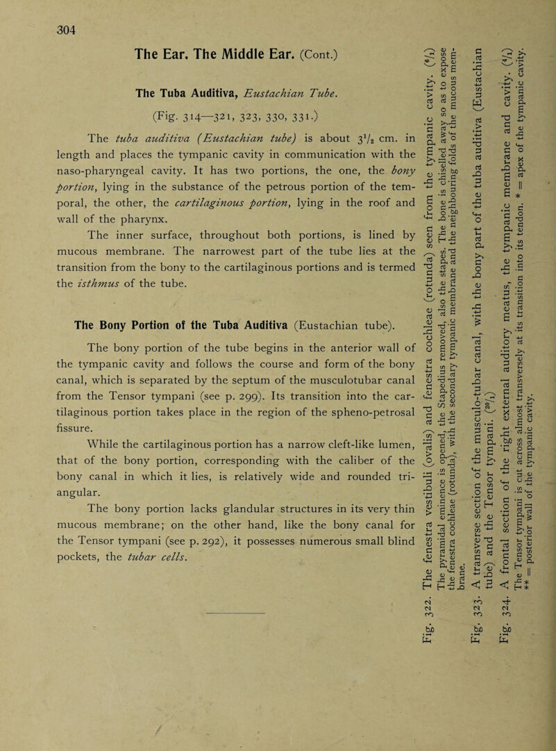 The Ear, The Middle Ear. (Cont.) The Tuba Auditiva, Eustachian Tube. (Fig. 314—321, 323, 330, 331.) The tuba auditiva (Eustachian tube) is about 3V2 cm. in length and places the tympanic cavity in communication with the naso-pharyngeal cavity. It has two portions, the one, the bony portion, lying in the substance of the petrous portion of the tem¬ poral, the other, the cartilaginous portion, lying in the roof and wall of the pharynx. The inner surface, throughout both portions, is lined by mucous membrane. The narrowest part of the tube lies at the transition from the bony to the cartilaginous portions and is termed the isthmus of the tube. The Bony Portion of the Tuba Auditiva (Eustachian tube). The bony portion of the tube begins in the anterior wall of the tympanic cavity and follows the course and form of the bony canal, which is separated by the septum of the musculotubar canal from the Tensor tympani (see p. 299). Its transition into the car¬ tilaginous portion takes place in the region of the spheno-petrosal fissure. While the cartilaginous portion has a narrow cleft-like lumen, that of the bony portion, corresponding with the caliber of the bony canal in which it lies, is relatively wide and rounded tri¬ angular. The bony portion lacks glandular structures in its very thin mucous membrane; on the other hand, like the bony canal for the Tensor tympani (see p. 292), it possesses numerous small blind pockets, the tubar cells. in M <N CO G cd IS o cd to > cd o 3 W cd > 3 cd cd 3 +-> <L> J3 4-1 cd Oh to 3 O O <D J3 -M -G +-> £ cd G cd 5-1 a -Q 3 1 -  O ® ,—1 w 3 CJ in 3 > ö cd cL u a S iy g .. « is <u G cd u JO 6 <D X o Oh cd 0 C r-1 O 3 T3 ™ e a, § G ~ to .** -M o <L> -G .£ cd G <u to • « 5-, ^ O cd TO 3 cd cd G 5h <U +-> X <u <u in U <L> > m C aj }-< <D 4-> o c a3 CX a .bp s § o cx oj -G G o 5—t o in G <u o H QJ in a; o -G 00 CU TO > G G Oj ^ U CJ 3 CJ ^3 <D CJ O m , C o • »—I 4-» CJ OJ m cd 4-> C O . u Ö HU ag b : u o C/3 <U H <L> -*-> tn O a < 2 < H CO Td- CO CO fcxo bio bio • »—« • *-H • »—t