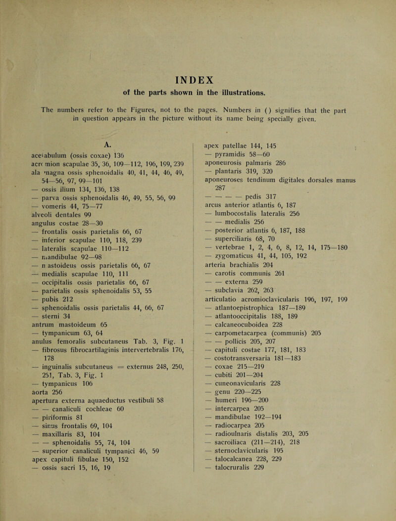 INDEX of the parts shown in the illustrations. The numbers refer to the Figures, not to the pages. Numbers in () signifies that the part in question appears in the picture without its name being specially given. A. acetabulum (ossis coxae) 136 acn mion scapulae 35, 36, 109—112, 196, 199, 239 ala magna ossis sphenoidalis 40, 41, 44, 46, 49, 54—56, 97, 99—101 — ossis ilium 134, 136, 138 — parva ossis sphenoidalis 46, 49, 55, 56, 99 — vomeris 44, 75—77 alveoli dentales 99 angulus costae 28—30 — frontalis ossis parietalis 66, 67 — inferior scapulae 110, 118, 239 — lateralis scapulae 110—112 — mandibulae 92—98 — n astoideus ossis parietalis 66, 67 — medialis scapulae 110, 111 — occipitalis ossis parietalis 66, 67 — parietalis ossis sphenoidalis 53, 55 — pubis 212 — sphenoidalis ossis parietalis 44, 66, 67 — sferni 34 antrum mastoideum 65 — tympanicum 63, 64 anulus femoralis subcutaneus Tab. 3, Fig. 1 —- fibrosus fibrocartilaginis intervertebralis 176, 178 — inguinalis subcutaneus = externus 248, 250, 251, Tab. 3, Fig. 1 — tympanicus 106 aorta 256 apertura externa aquaeductus vestibuli 58 —- — canaliculi cochleae 60 — piriformis 81 — sinus frontalis 69, 104 — maxillaris 83, 104 -sphenoidalis 55, 74, 104 — superior canaliculi tympanici 46, 59 apex capituli fibulae 150, 152 apex patellae 144, 145 —- pyramidis 58—60 aponeurosis palmaris 286 — plantaris 319, 320 aponeuroses tendinum digitales dorsales manus 287 — —--pedis 317 arcus anterior atlantis 6, 187 — lumbocostalis lateralis 256 — — medialis 256 — posterior atlantis 6, 187, 188 — superciliaris 68, 70 — vertebrae 1, 2, 4, 6, 8, 12, 14, 175—180 — zygomaticus 41, 44, 105, 192 arteria brachialis 204 — carotis communis 261 — — externa 259 — subclavia 262, 263 articulatio acromioclavicuiaris 196, 197, 199 — atlantoepistrophica 187—189 — atlantooccipitalis 188, 189 — calcaneocuboidea 228 — carpometacarpea (communis) 205 -pollicis 205, 207 — capituli costae 177, 181, 183 — costotransversaria 181—183 — coxae 215—219 — cubiti 201—204 — cuneonavicularis 228 — genu 220—225 — humeri 196—200 — intercarpea 205 — mandibulae 192—194 — radiocarpea 205 —- radioulnaris distalis 203, 205 — sacroiliaca (211—214), 218 — sternoclavicularis 195 — talocalcanea 228, 229