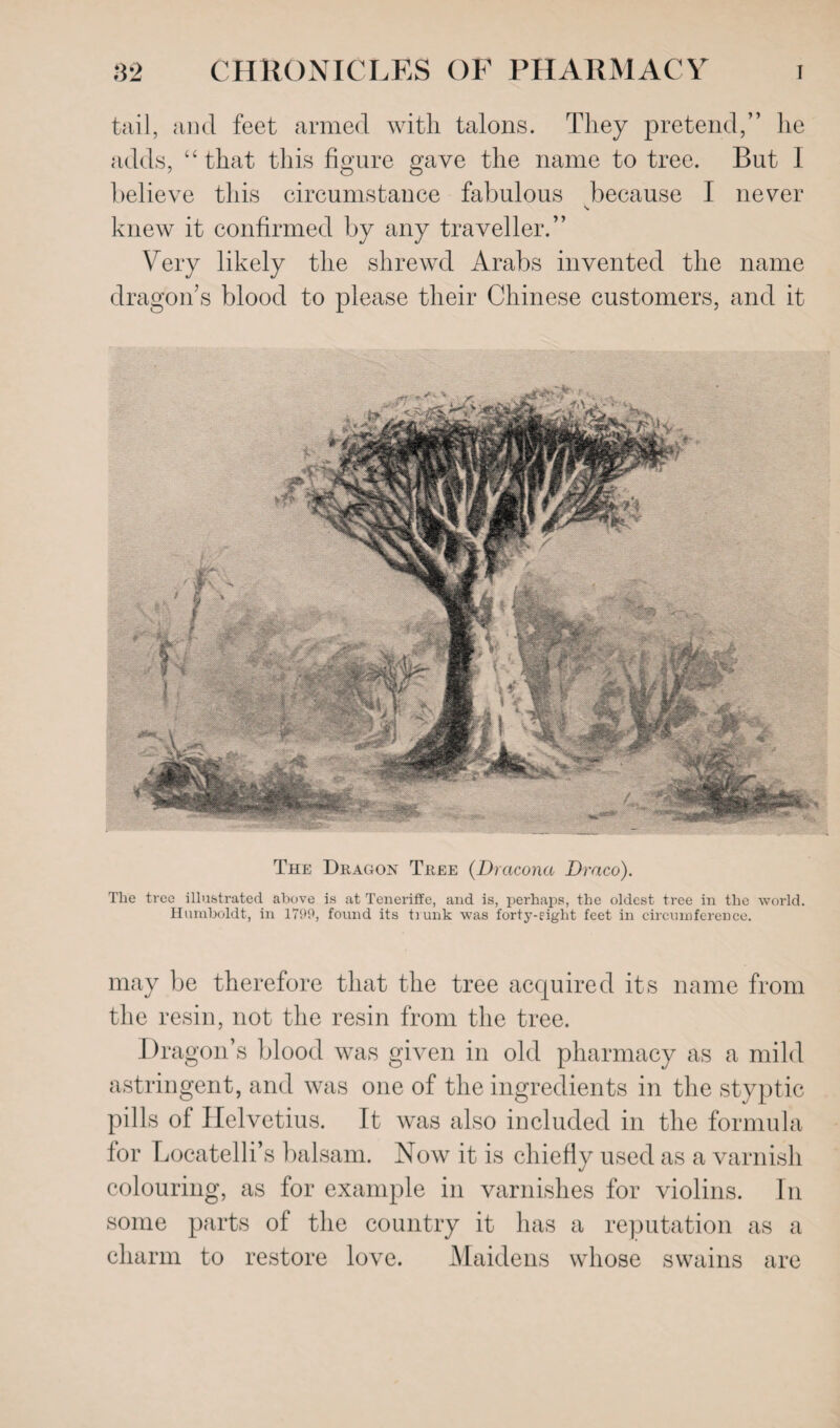 tail, and feet armed with talons. They pretend,” he adds, “ that this figure gave the name to tree. But I believe this circumstance fabulous because I never s. knew it confirmed by any traveller.” Very likely the shrewd Arabs invented the name dragon’s blood to please their Chinese customers, and it The Dragon Tree (.Dracona Draco). The tree illustrated above is at Teneriffe, and is, perhaps, the oldest tree in the world. Humboldt, in 1799, found its trunk was forty-eight feet in circumference. may be therefore that the tree acquired its name from the resin, not the resin from the tree. Dragon’s blood was given in old pharmacy as a mild astringent, and was one of the ingredients in the styptic pills of Helvetius. It was also included in the formula for Locatelli’s balsam. Now it is chiefly used as a varnish colouring, as for example in varnishes for violins. In some parts of the country it has a reputation as a charm to restore love. Maidens whose swains are