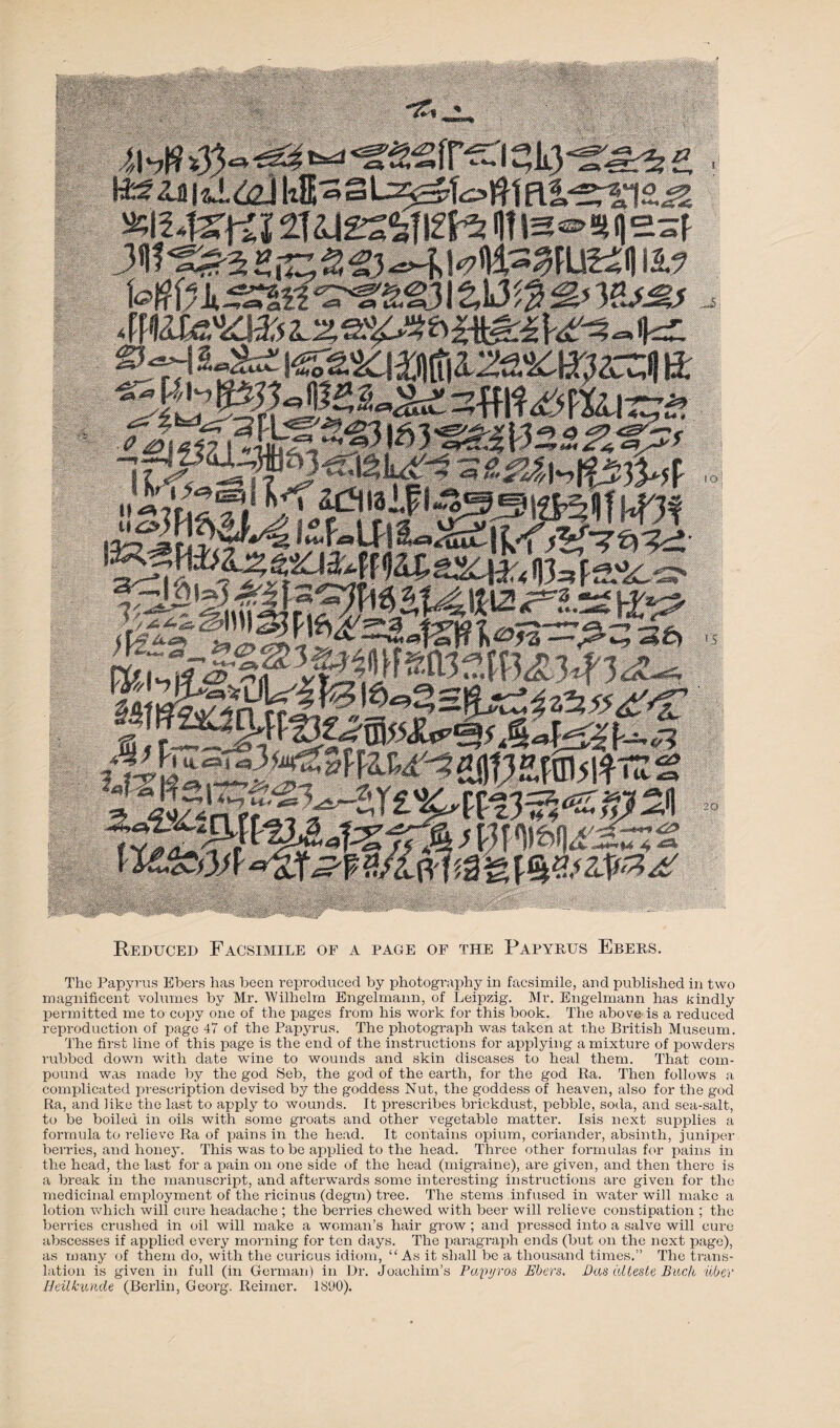 I I ■ I | m MmImI ■ : - JU s J * ft « , ^ • ; M t%~43&*4 «^gfp£Cl e ^SiiM&asLz^ —•- tl54S^ SUIgSiflfK? Hti2*3>SMi°«f fe0frk.S58H *£*%%%$\%W,fM> FLugJ ^ gfH B: *“T fSS S5S?4 i y»f ■ ■ m i ~J!rJ z3S^0^il » Reduced Facsimile of a page of the Papyrus Ebers. The Papyrus Ebers has been reproduced by photography in facsimile, and published in two magnificent volumes by Mr. Wilhelm Engelmann, of Leipzig. Mr. Engelmann has kindly permitted me to copy one of the pages from his work for this book. The above is a reduced reproduction of page 47 of the Papyrus. The photograph was taken at the British Museum. The first line of this page is the end of the instructions for applying a mixture of powders rubbed down with date wine to wounds and skin diseases to heal them. That com¬ pound was made by the god Seb, the god of the earth, for the god Ra. Then follows a complicated prescription devised by the goddess Nut, the goddess of heaven, also for the god Ra, and like the last to apply to wounds. It prescribes brickdust, pebble, soda, and sea-salt, to be boiled in oils with some groats and other vegetable matter. Isis next supplies a formula to relieve Ra of pains in the head. It contains opium, coriander, absinth, juniper berries, and honey. This was to be applied to the head. Three other formulas for pains in the head, the last for a pain on one side of the head (migraine), are given, and then there is a break in the manuscript, and afterwards some interesting instructions are given for the medicinal employment of the ricinus (degm) tree. The stems infused in water will make a lotion which will cure headache ; the berries chew'ed wfith beer will relieve constipation ; the berries crushed in oil will make a woman’s hair grow ; and pressed into a salve will cure abscesses if applied every morning for ten days. The paragraph ends (but on the next page), as many of them do, with the curious idiom, “ As it shall be a thousand times.” The trans¬ lation is given in full (in German) in Dr. Joachim’s Pwpijros Ebers, Das dlteste Buck iiber Eeilkunde (Berlin, Georg. Reimer. 1800).