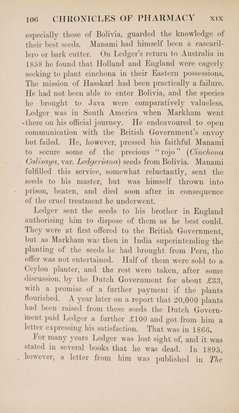 especially those of Bolivia, guarded the knowledge of their best seeds. Manami had himself been a cascaril- lero or bark cutter. On Ledger’s return to Australia in 1858 he found that Holland and England were eagerly seeking to plant cinchona in their Eastern possessions. The mission of Hasskarl had been practically a failure. He had not been able to enter Bolivia, and the species he brought to Java were comparatively valueless. Ledger was in South America when Markham went -there on his official journey. He endeavoured to open communication with the British Government’s envoy but failed. He, however, pressed his faithful Manami to secure some of the precious “rojo” (Cinchona CaUsaya, var. Ledgeriana) seeds from Bolivia. Manami fulfilled this service, somewhat reluctantly, sent the seeds to his master, but was himself thrown into prison, beaten, and died soon after in consequence of the cruel treatment he underwent. Ledger sent the seeds to his brother in England authorising him to dispose of them as he best could. They were at first offered to the British Government, but as Markham was then in India superintending the planting of the seeds he had brought from Peru, the offer was not entertained. Half of them were sold to a Ceylon planter, and the rest were taken, after some discussion, by the Dutch Government for about £33, with a promise of a further payment if the plants flourished. A year later on a report that 20,000 plants had been raised from these seeds the Dutch Govern¬ ment paid Ledger a further £100 and got from him a letter expressing his satisfaction. That was in 18GG. for many years Ledger was lost sight of, and it was stated in several books that he was dead. In 1895, . however, a letter from him was published in The