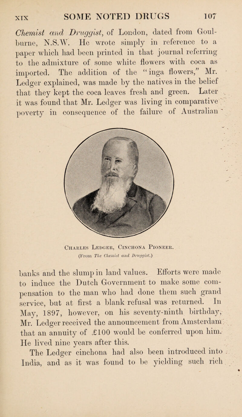 Chemist and Druggist, of London, dated from Goul- burne, N.SAV. He wrote simply in reference to a paper wliicli bad been printed in that journal referring to the admixture of some white flowers with coca as imported. The addition of the “ inga flowers/’ Mr. Ledger explained, was made by the natives in the belief that they kept the coca leaves fresh and green. Later it was found that Mr. Ledger was living in comparative poverty in consequence of the failure of Australian Charles Ledger, Cinchona Pioneer. (From The Chemist and Druggist.) banks and the slump in land values. Efforts were made to induce the Dutch Government to make some com¬ pensation to the man who had done them such grand service, but at first a blank refusal was returned. In May, 1897, however, on his seventy-ninth birthday,- Mr. Ledger received the announcement from Amsterdam; that an annuity of £100 would be conferred upon him. He lived nine years after this. The Ledger cinchona had also been introduced into ; India, and as it was found to be yielding such rich