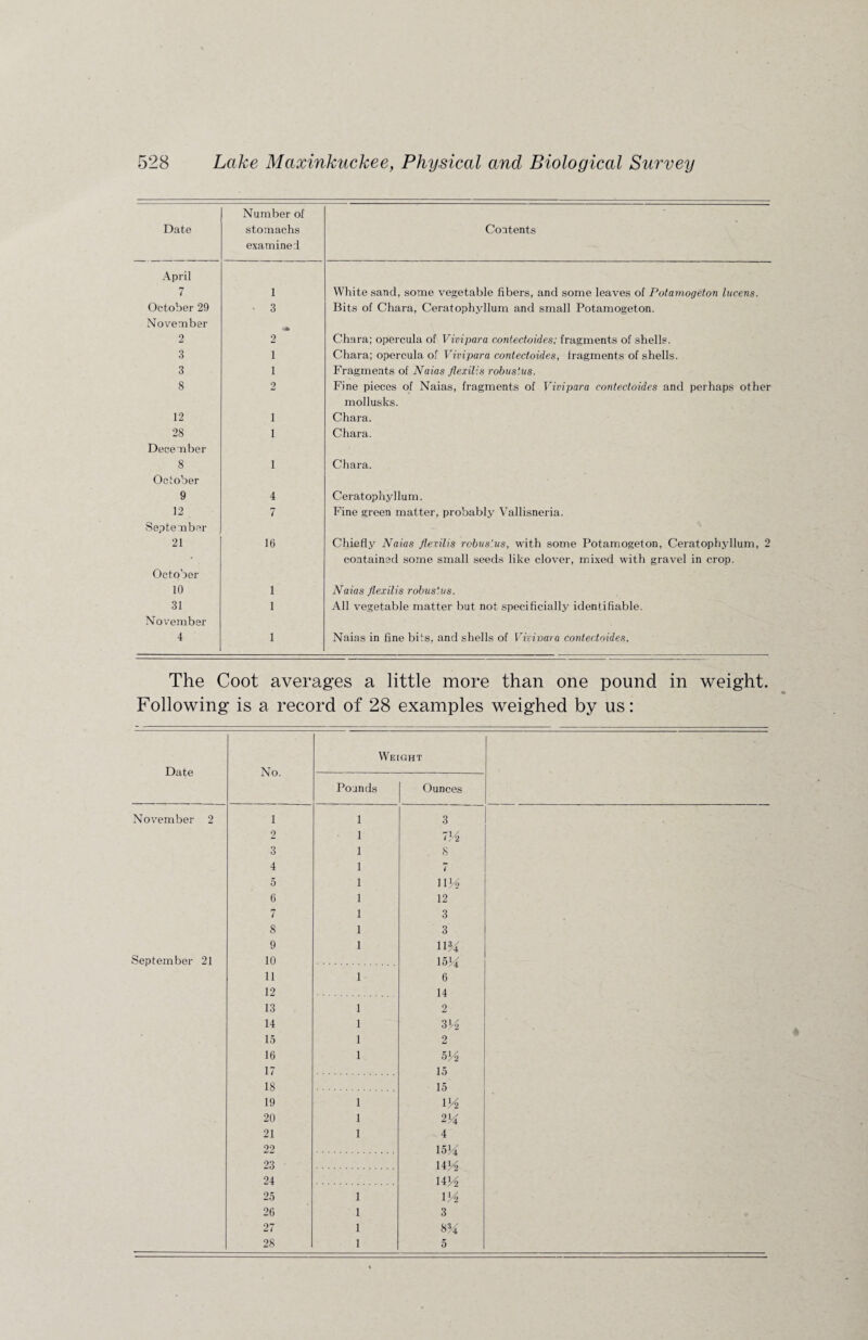 Date Number of stomachs examined Contents April 7 1 White sand, some vegetable fibers, and some leaves of Potamogeton lueens. October 29 November • 3 Bits of Chara, Ceratophyllum and small Potamogeton. 2 2 Chara; opercula of Vivipara contectoides; fragments of shells. 3 1 Chara; opercula of Vivipara contectoides, fragments of shells. 3 1 Fragments of Naias flexilis robustus. 8 2 Fine pieces of Naias, fragments of Vivipara contectoides and perhaps other mollusks. 12 1 Chara. 28 1 Chara. December 8 1 Chara. October 9 4 Ceratophyllum. 12 7 Fine green matter, probably Vallisneria. September 21 16 Chiefly Naias flexilis robus'.us, with some Potamogeton, Ceratophyllum, 2 contained some small seeds like clover, mixed with gravel in crop. October 10 1 Naias flexilis robustus. 31 1 All vegetable matter but not specificially identifiable. November 4 1 Naias in fine bits, and shells of Vivipara contectoides. The Coot averages a little more than one pound in weight. Following is a record of 28 examples weighed by us: Date No. Wecght Pounds Ounces November 2 1 1 3 2 1 PA 3 1 8 4 1 7 5 1 11 At 6 1 12 7 1 3 8 1 3 9 1 11% September 21 10 15M 11 1 6 12 14 13 1 2 14 1 3 A 15 1 2 16 1 5 A 17 15 18 15 19 1 l A 20 1 2 % 21 1 4 22 15M 23 14 A 24 14 A 25 1 1A 26 1 3 27 1 m 28 1 5