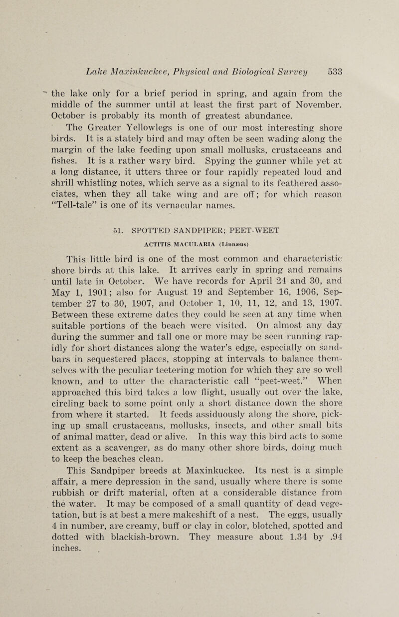  the lake only for a brief period in spring, and again from the middle of the summer until at least the first part of November. October is probably its month of greatest abundance. The Greater Yellowlegs is one of our most interesting shore birds. It is a stately bird and may often be seen wading along the margin of the lake feeding upon small mollusks, crustaceans and fishes. It is a rather wary bird. Spying the gunner while yet at a long distance, it utters three or four rapidly repeated loud and shrill whistling notes, which serve as a signal to its feathered asso¬ ciates, when they all take wing and are off; for which reason “Tell-tale” is one of its vernacular names. 51. SPOTTED SANDPIPER; PEET-WEET ACTITIS MACULARIA (Linnaeus) This little bird is one of the most common and characteristic shore birds at this lake. It arrives early in spring and remains until late in October. We have records for April 24 and 30, and May 1, 1901; also for August 19 and September 16, 1906, Sep¬ tember 27 to 30, 1907, and October 1, 10, 11, 12, and 13, 1907. Between these extreme dates they could be seen at any time when suitable portions of the beach were visited. On almost any day during the summer and fall one or more may be seen running rap¬ idly for short distances along the water’s edge, especially on sand¬ bars in sequestered places, stopping at intervals to balance them¬ selves with the peculiar teetering motion for which they are so well known, and to utter the characteristic call “peet-weet.” When approached this bird takes a low flight, usually out over the lake, circling back to some point only a short distance down the shore from where it started. It feeds assiduously along the shore, pick¬ ing up small crustaceans, mollusks, insects, and other small bits of animal matter, dead or alive. In this way this bird acts to some extent as a scavenger, as do many other shore birds, doing much to keep the beaches clean. This Sandpiper breeds at Maxinkuckee. Its nest is a simple affair, a mere depression in the sand, usually where there is some rubbish or drift material, often at a considerable distance from the water. It may be composed of a small quantity of dead vege¬ tation, but is at best a mere makeshift of a nest. The eggs, usually 4 in number, are creamy, buff or clay in color, blotched, spotted and dotted with blackish-brown. They measure about 1.34 by .94 inches.