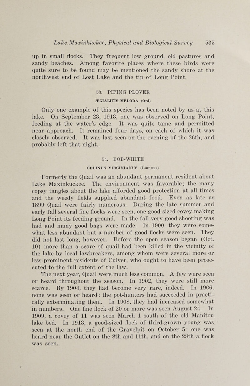 up in small flocks. They frequent low ground, old pastures and sandy beaches. Among favorite places where these birds were quite sure to be found may be mentioned the sandy shore at the northwest end of Lost Lake and the tip of Long Point. 53. PIPING PLOVER iEGIALITIS MELODA (Ord) Only one example of this species has been noted by us at this lake. On September 23, 1913, one was observed on Long Point, feeding at the water’s edge. It was quite tame and permitted near approach. It remained four days, on each of which it was closely observed. It was last seen on the evening of the 26th, and probably left that night. 54. BOB-WHITE COLINUS VIRGIN!ANUS (Linnaeus) Formerly the Quail was an abundant permanent resident about Lake Maxinkuckee. The environment was favorable; the many copsy tangles about the lake afforded good protection at all times and the weedy fields supplied abundant food. Even as late as 1899 Quail were fairly numerous. During the late summer and early fall several fine flocks were seen, one good-sized covey making Long Point its feeding ground. In the fall very good shooting was had and many good bags were made. In 1900, they were some¬ what less abundant but a number of good flocks were seen. They did not last long, however. Before the open season began (Oct. 10) more than a score of quail had been killed in the vicinity of the lake by local lawbreakers, among whom were several more or less prominent residents of Culver, who ought to have been prose¬ cuted to the full extent of the law. The next year, Quail were much less common. A few were seen or heard throughout the season. In 1902, they were still more scarce. By 1904, they had become very rare, indeed. In 1906, none was seen or heard; the pot-hunters had succeeded in practi¬ cally exterminating them. In 1908, they had increased somewhat in numbers. One fine flock of 20 or more was seen August 24. In 1909, a covey of 11 was seen March 1 south of the old Manitou lake bed. In 1913, a good-sized flock of third-grown young was seen at the north end of the Gravelpit on October 5; one was heard near the Outlet on the 8th and 11th, and on the 28th a flock was seen.