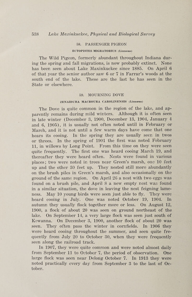58. PASSENGER PIGEON ECTOPISTES MIGRATORIUS (Linnjeus) The Wild Pigeon, formerly abundant throughout Indiana dur¬ ing the spring and fall migrations, is now probably extinct. None has been seen about Lake Maxinkuckee since 1885. On April 6 of that year the senior author saw 6 or 7 in Farrar’s woods at the south end of the lake. These are the last he has seen in the State or elsewhere. 59. MOURNING DOVE ZENAIDURA MACRO IRA CAROLINENSIS (Linnaeus) The Dove is quite common in the region of the lake, and ap¬ parently remains during mild winters. Although it is often seen in late winter (December 3, 1900, December 13, 1904, January 4 and 6, 1905), it is usually not often noted until in February or March, and it is not until a few warm days have come that one hears its cooing. In the spring they are usually seen in twos or threes. In the spring of 1901 the first was noted February 11, in willows by Long Point. From this time on they were seen quite frequently. The first one was heard cooing March 19, and thereafter they were heard often. Nests were found in various places; two were noted in trees near Green’s marsh, one 10 feet up and the other 30 feet up. They nested still more abundantly on the brush piles in Green’s marsh, and also occasionally on the ground of the same region. On April 26 a nest with two eggs was found on a brush pile, and April 8 a new empty nest was found in a similar situation, the dove in leaving the nest feigning lame¬ ness. May 10 young birds were seen just able to fly. They were heard cooing in July. One was noted October 19, 1904. In autumn they usually flock together more or less. On August 12, 1900, a flock of about 20 was seen on ground northeast of the lake. On September 14, a very large flock was seen just south of Kewanna. On December 3, 1900, another flock of about 20 was seen. They often pass the winter in cornfields. In 1906 they were heard cooing throughout the summer, and seen quite fre¬ quently from July 20 to October 30, when they were frequently seen along the railroad track. In 1907, they were quite common and were noted almost daily from September 11 to October 7, the period of observation. One large flock was seen near Delong October 7. In 1913 they were noted practically every day from September 3 to the last of Oc¬ tober.